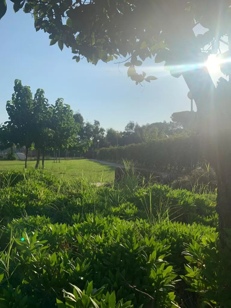 Garden in Agriostello Riparo