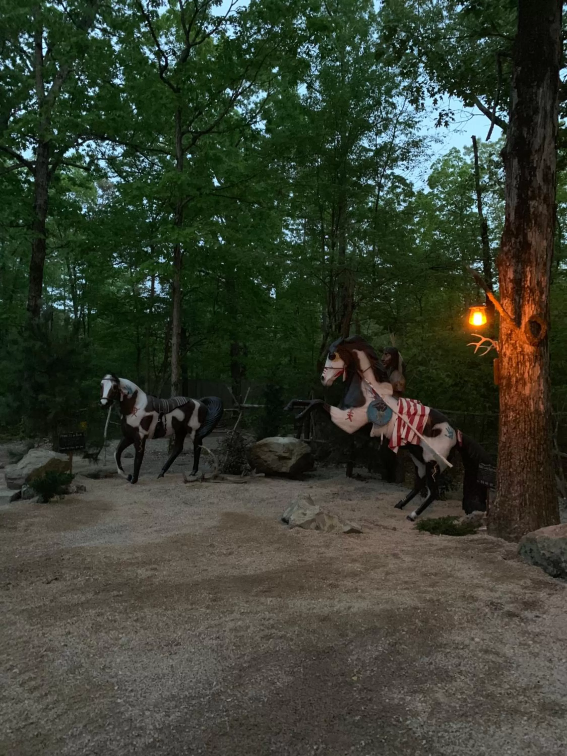 Natural landscape, Other Animals in Fox Pass Cabins