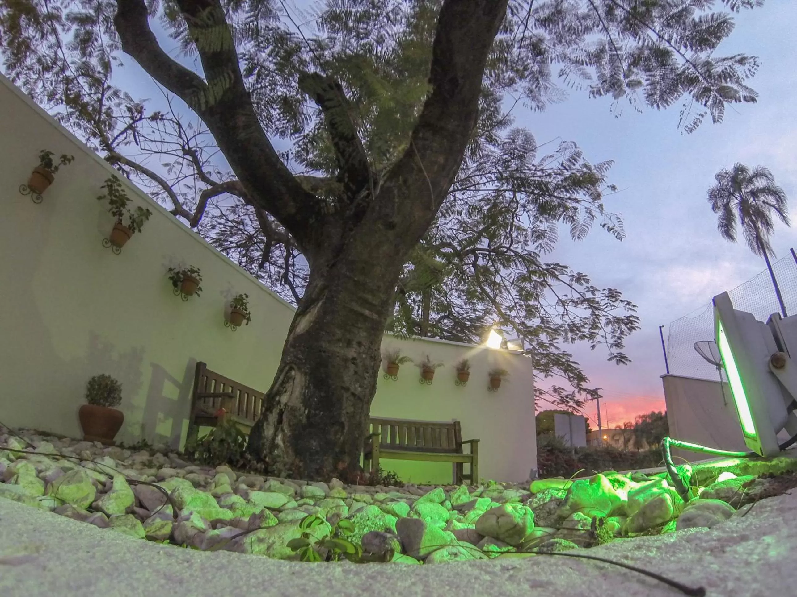Garden in Hotel Serra de Jundiaí
