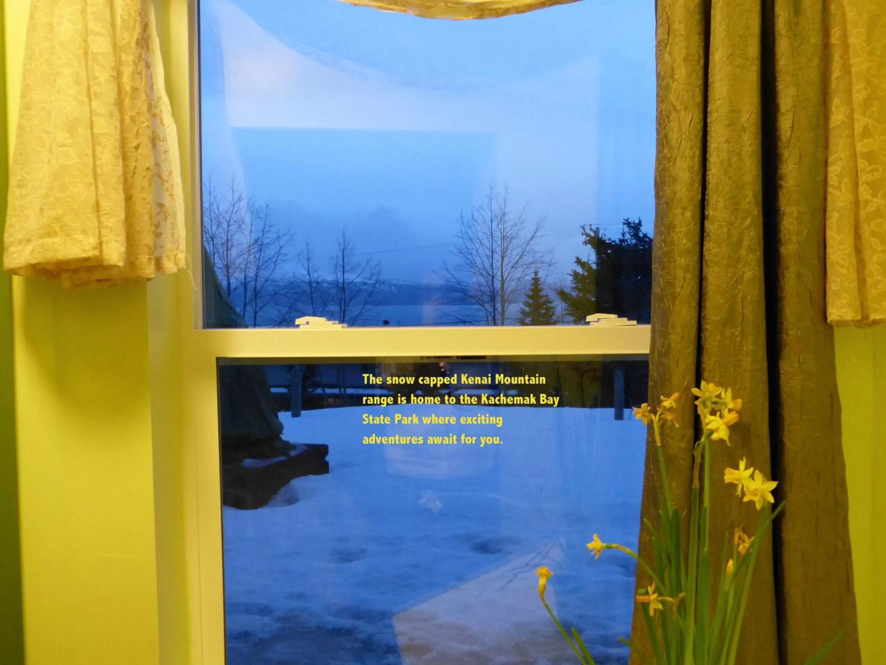 View (from property/room) in Halcyon Heights B&B/Inn