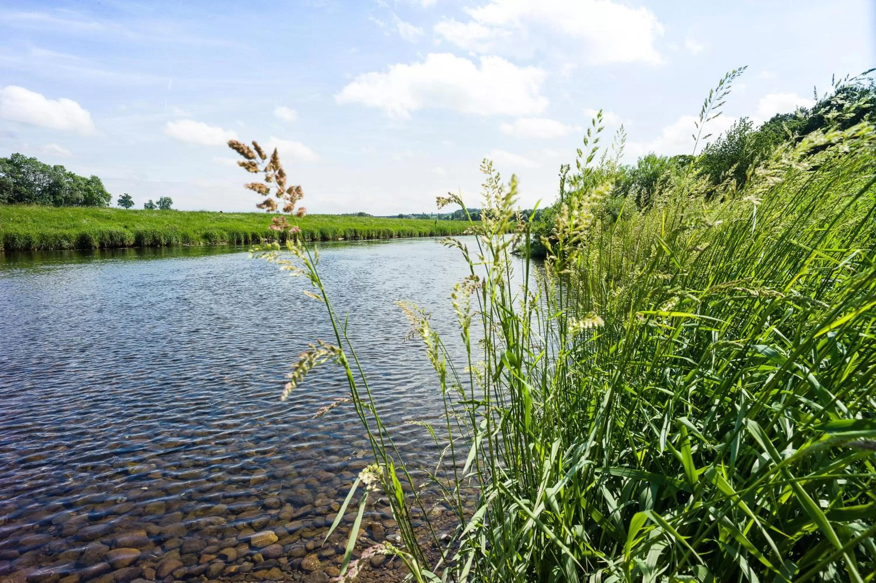 Natural landscape in Edenhall Country Hotel