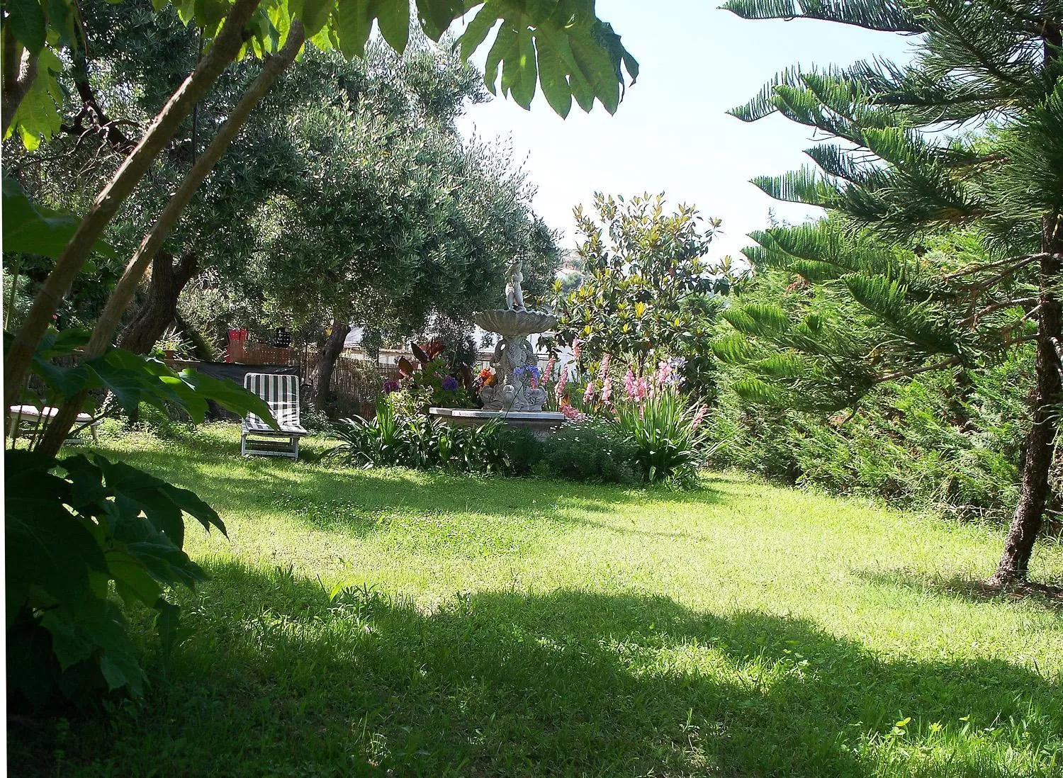 La tana del tasso Ventimiglia