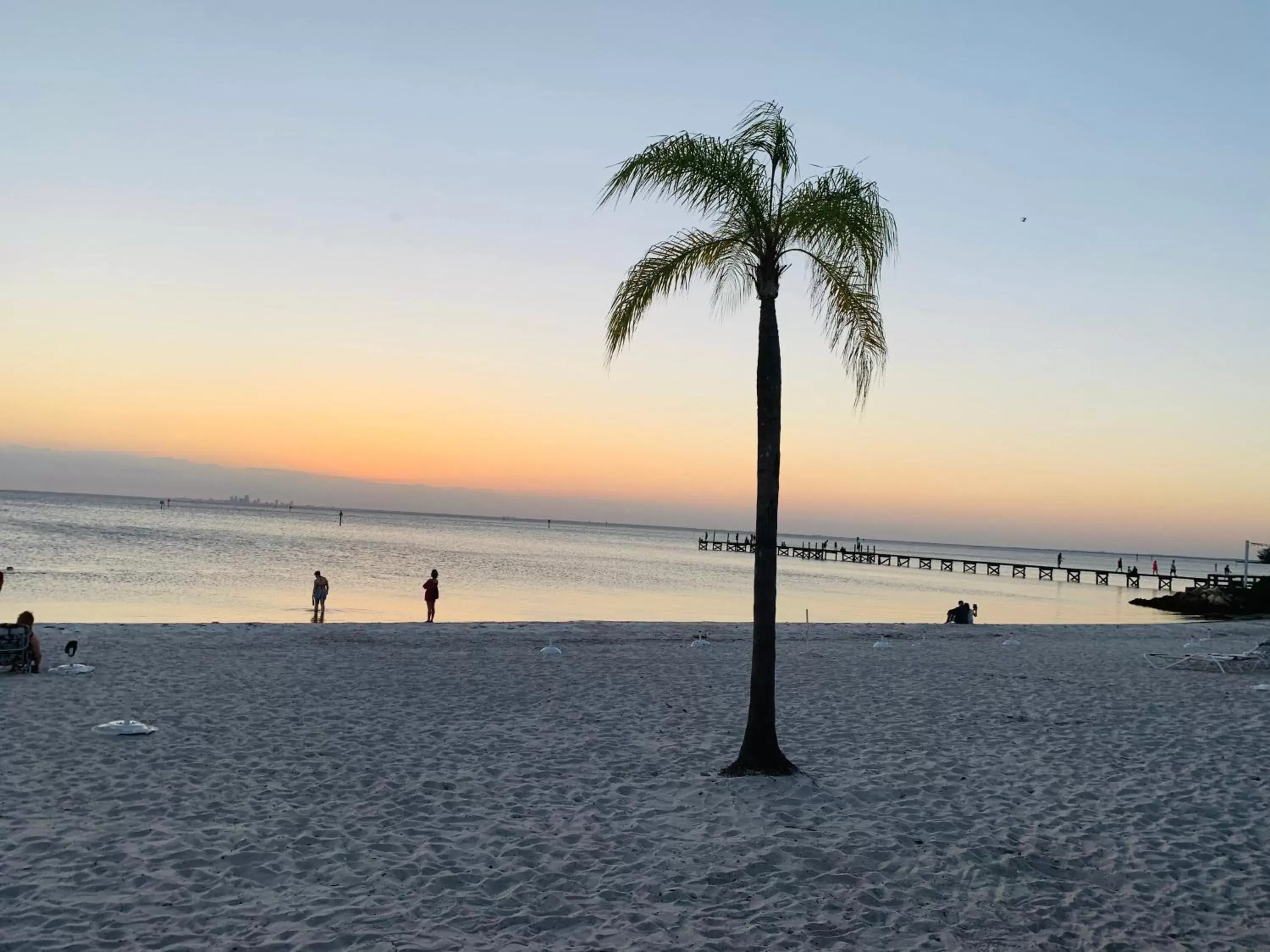 Apartment with Pool View in TAMPA BAY, BEACH step away, WIFI, FREE PARKING,POOLS, JACUZZI Apartment with Pool View in TAMPA BAY, BEACH step away, WIFI, FREE PARKING,POOLS, JACUZZI