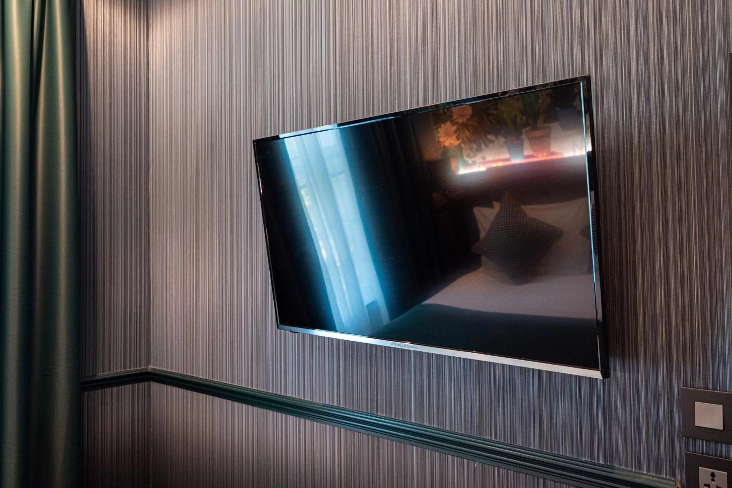 TV and multimedia in Hyde Park Green