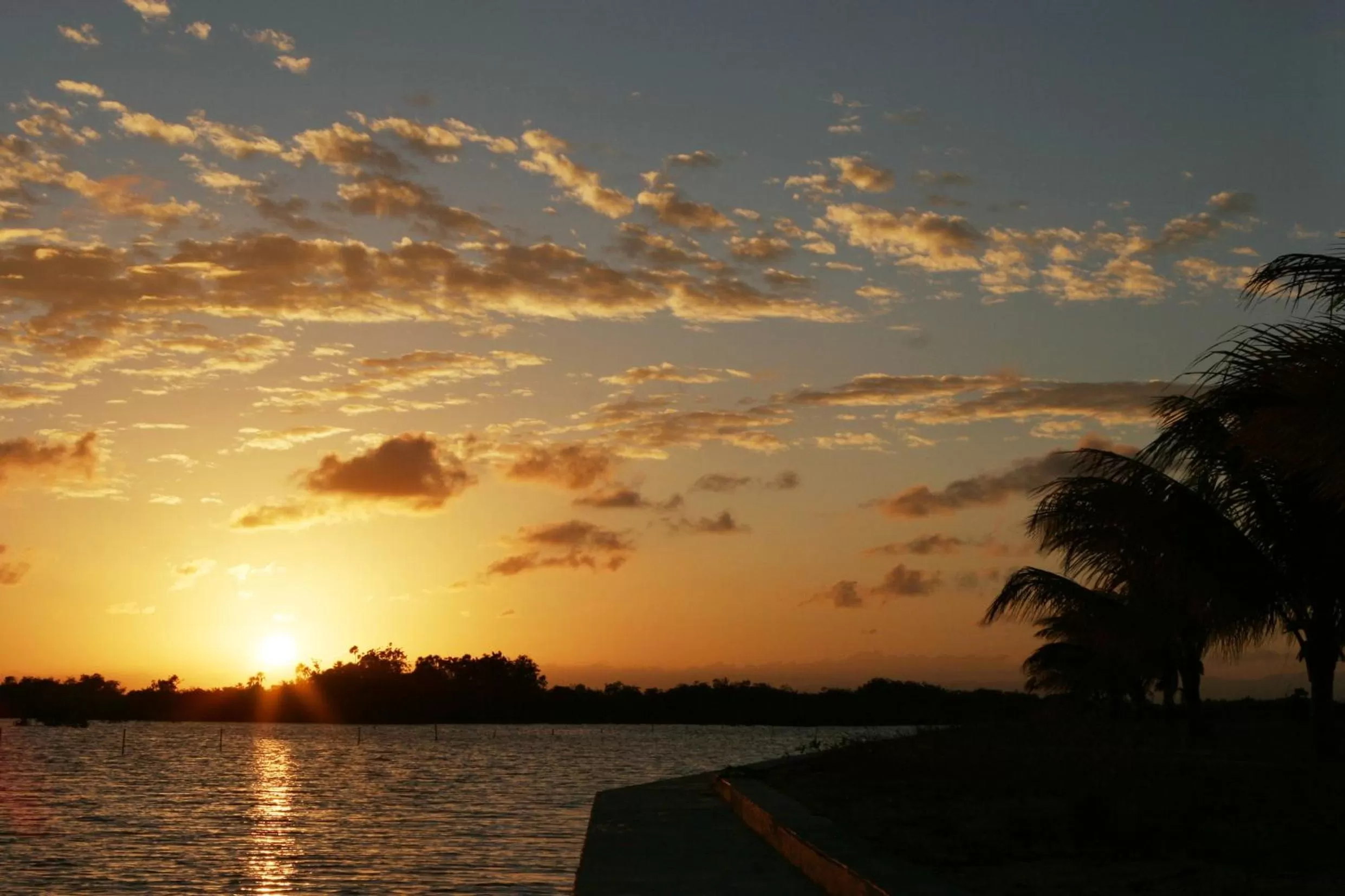 Night, Sunrise/Sunset in Wild Orchid