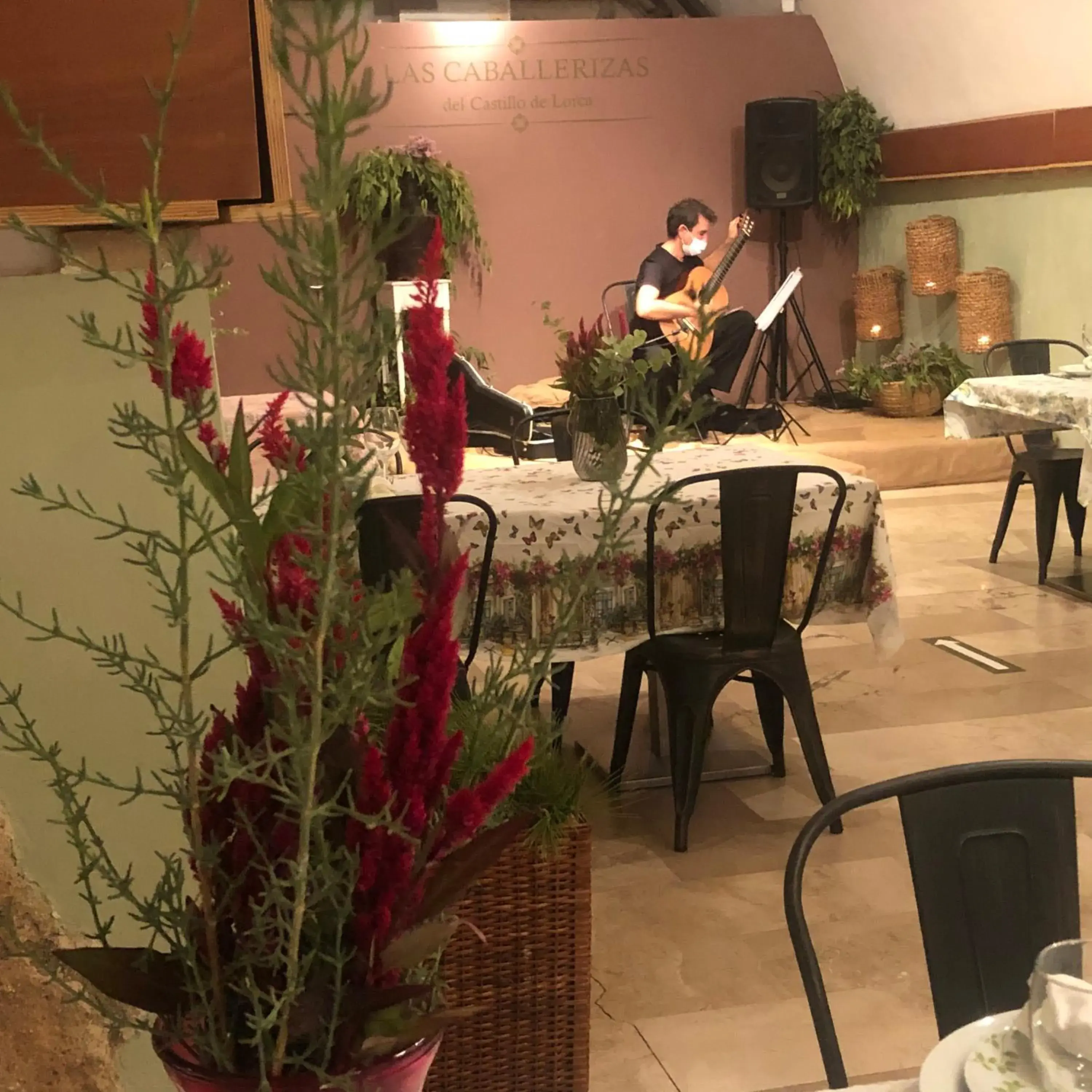 Hotel Felix Hotel Felix