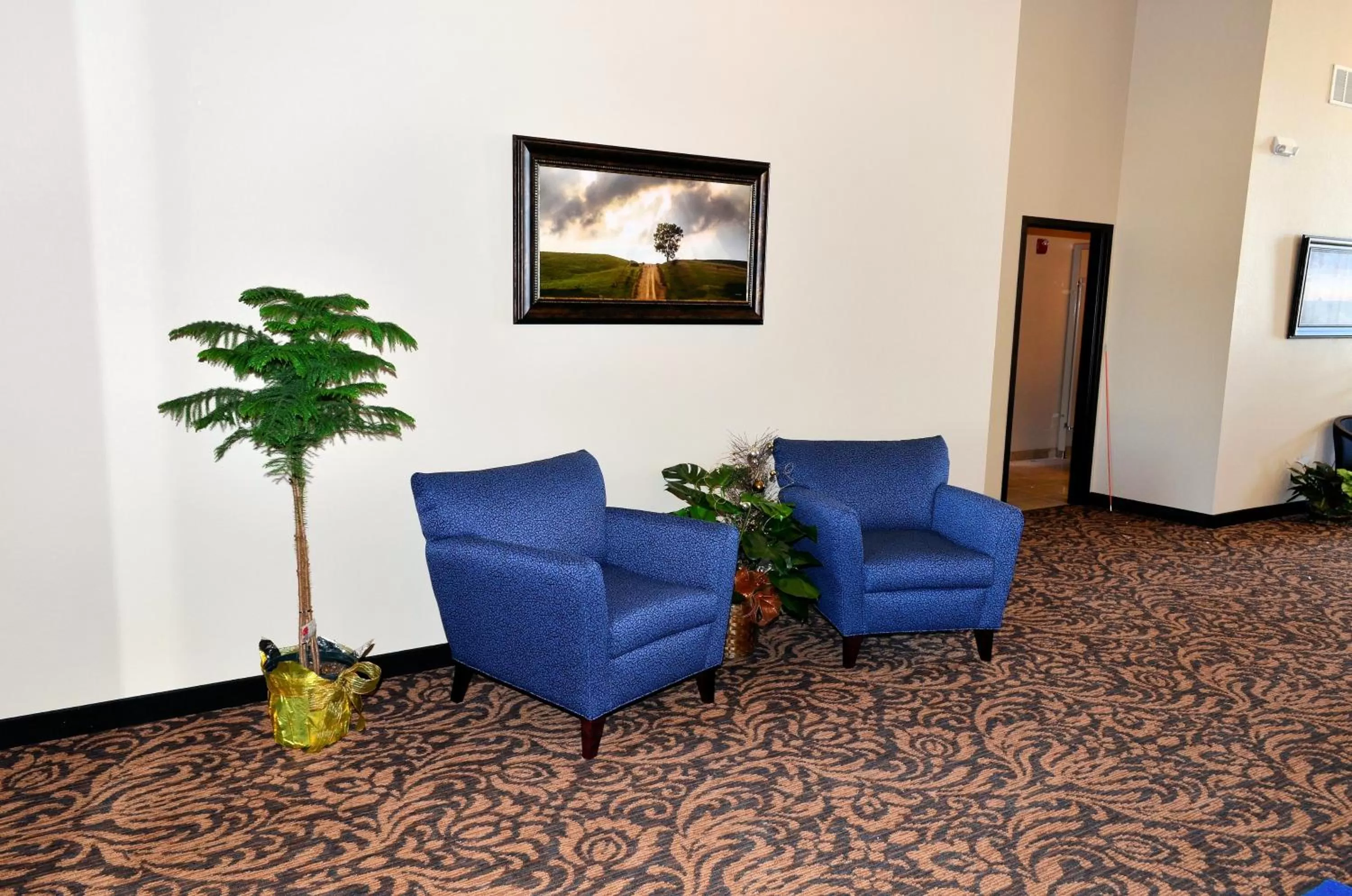 Lobby or reception in Cobblestone Inn & Suites - Holstein
