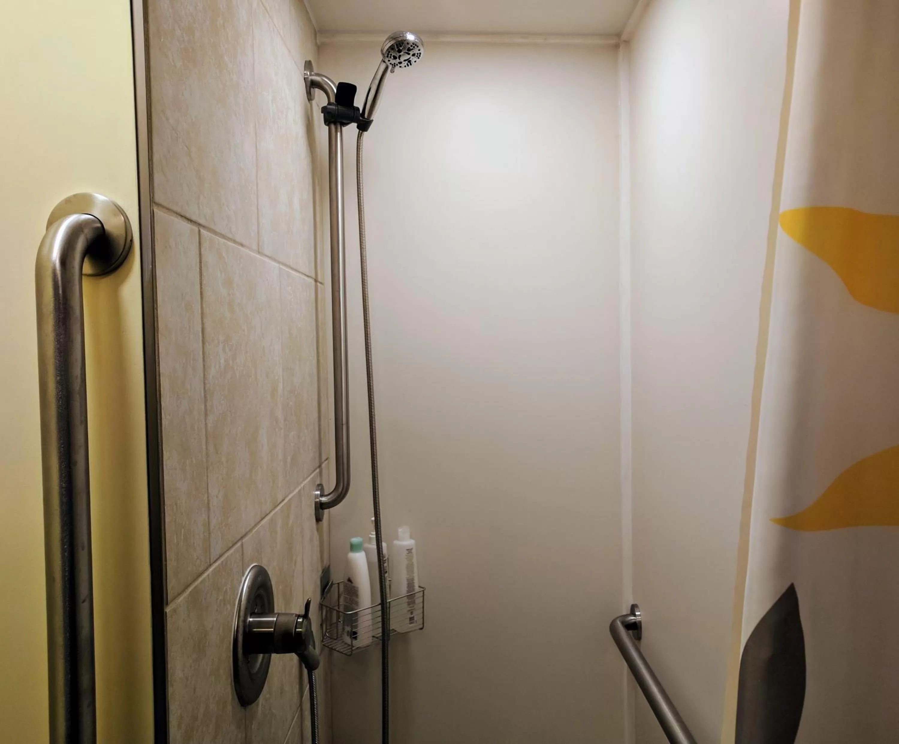 Ann Arbor Bed and Breakfast