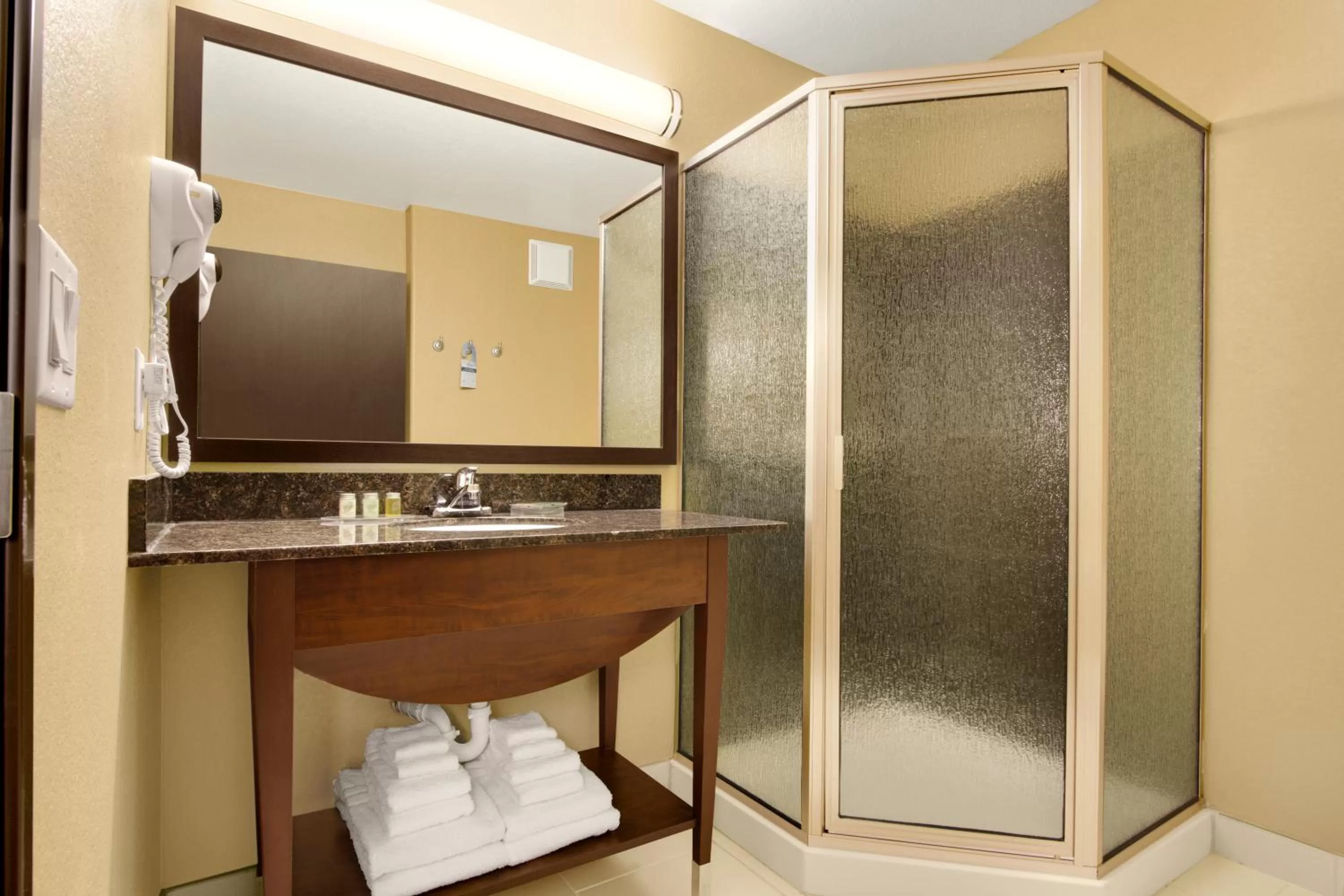 Shower in Microtel Inn & Suites by Wyndham Round Rock