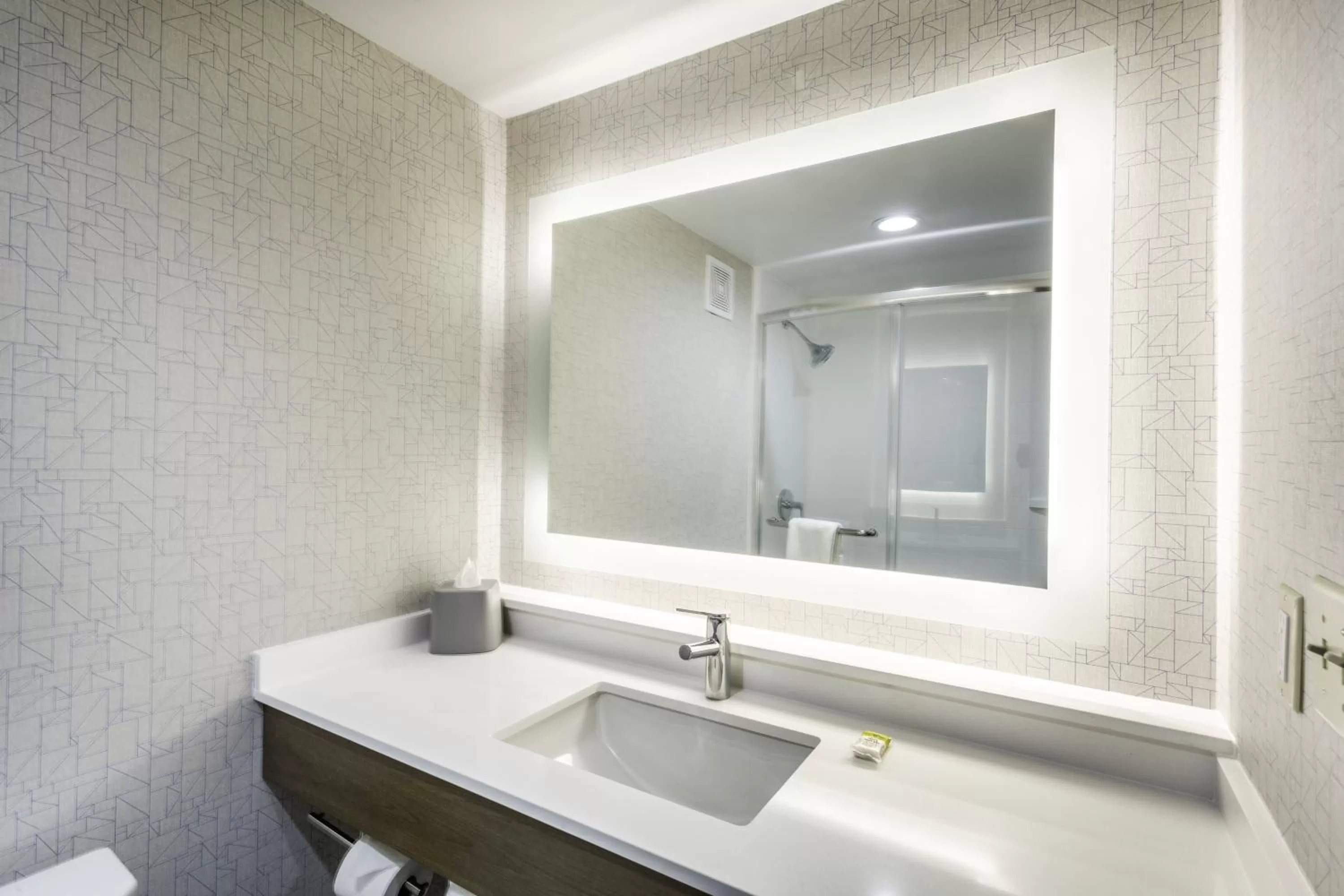 Bathroom in Holiday Inn Express Hopewell - Fort Lee by IHG