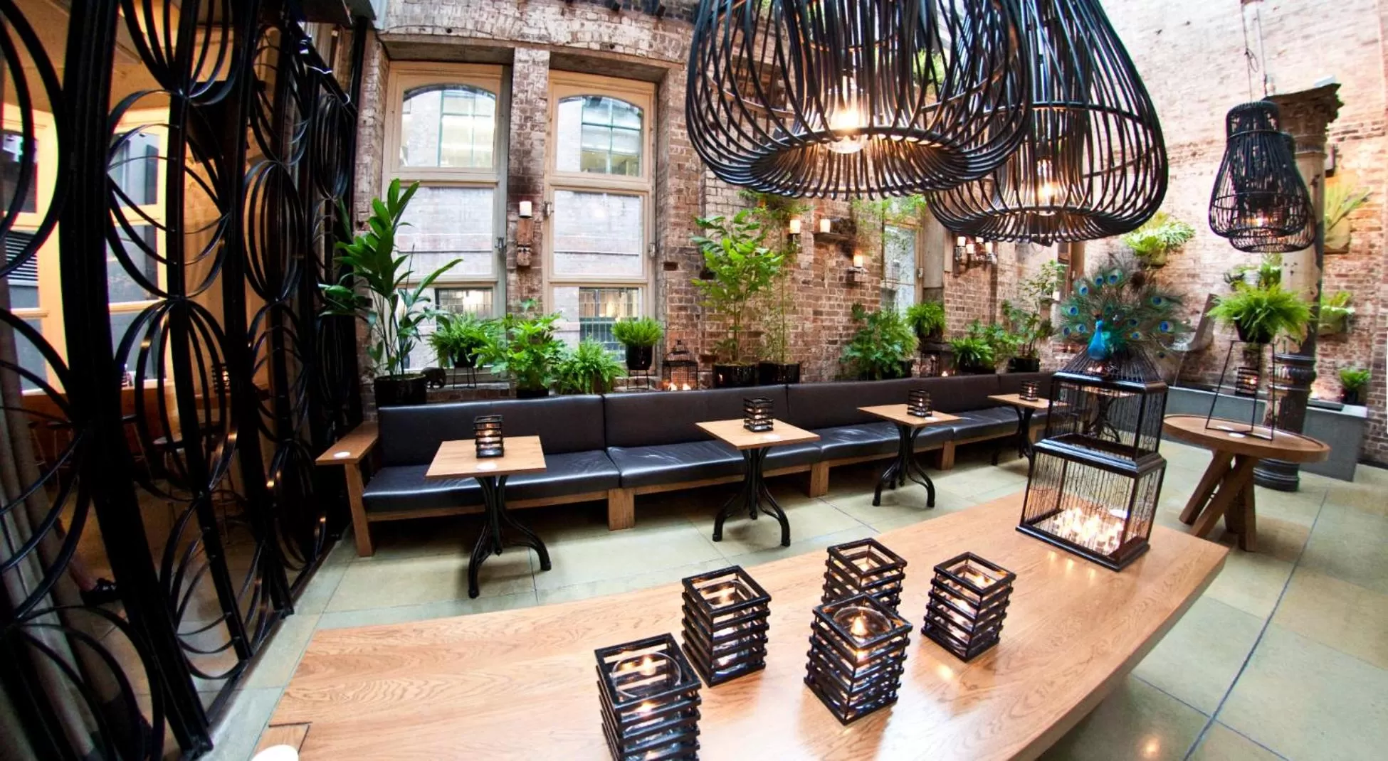 Lounge or bar in Establishment Hotel