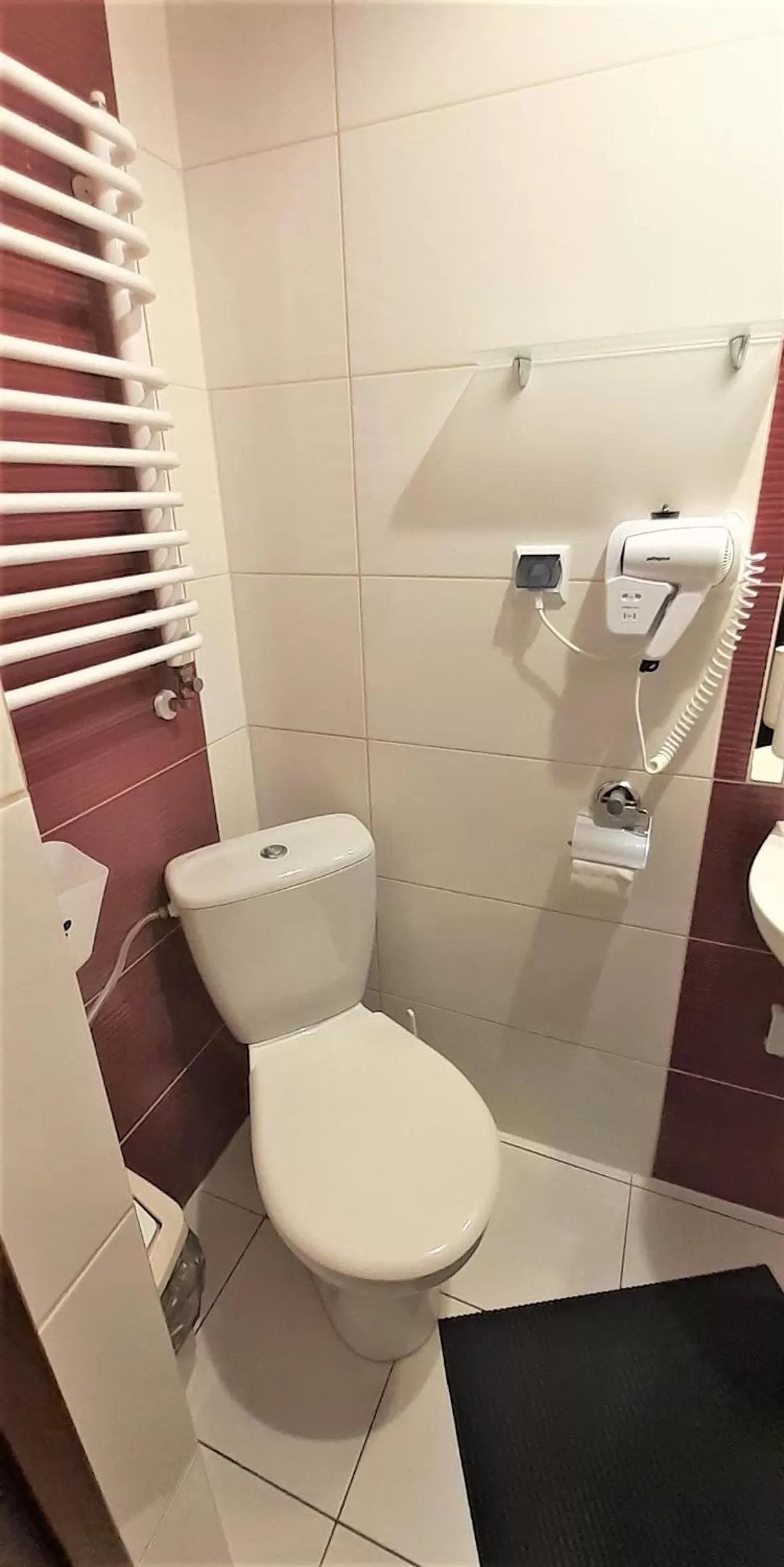 Toilet in Willa na Olczańskim Wierchu