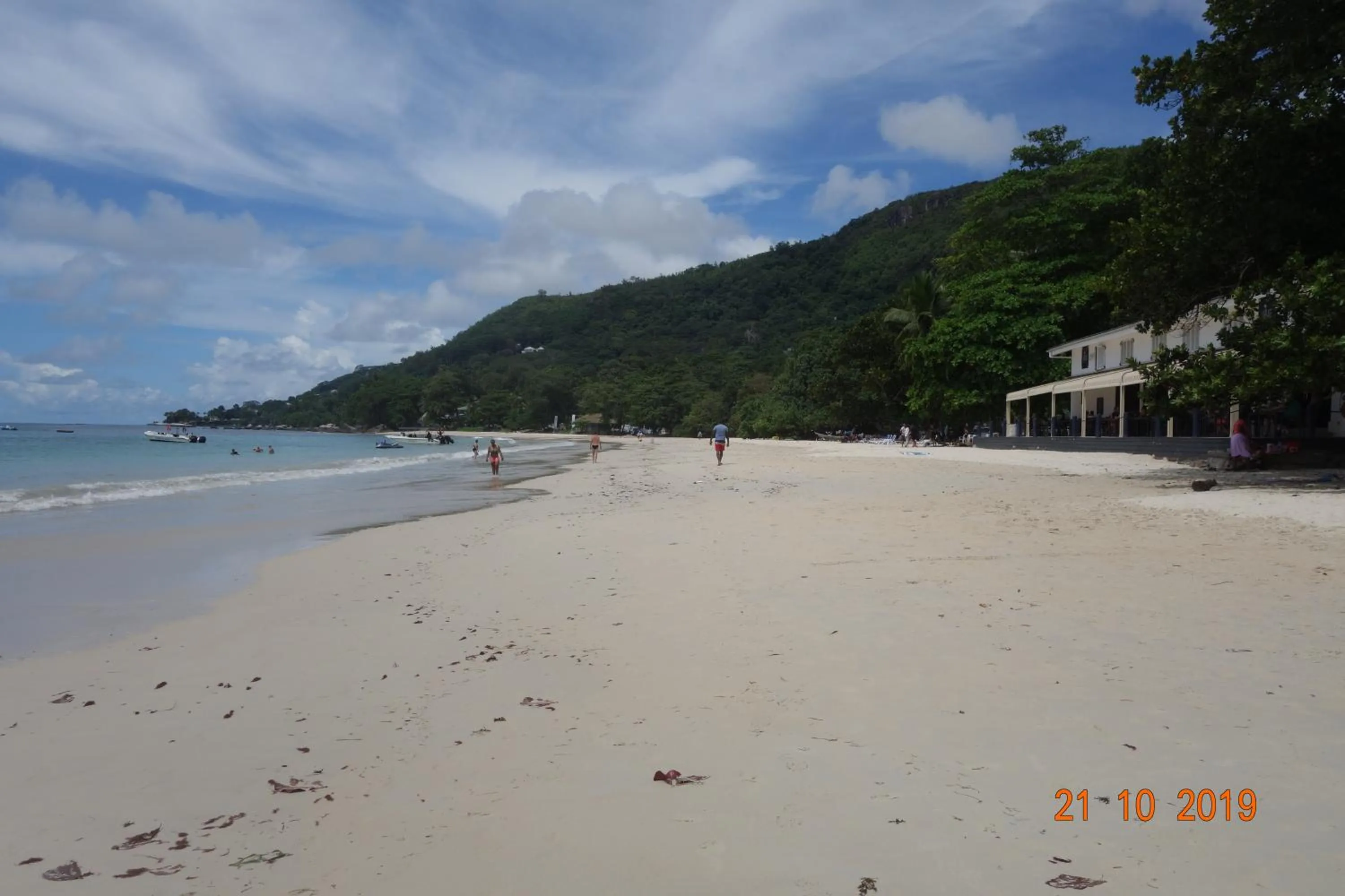 Off site in Forest Lodge