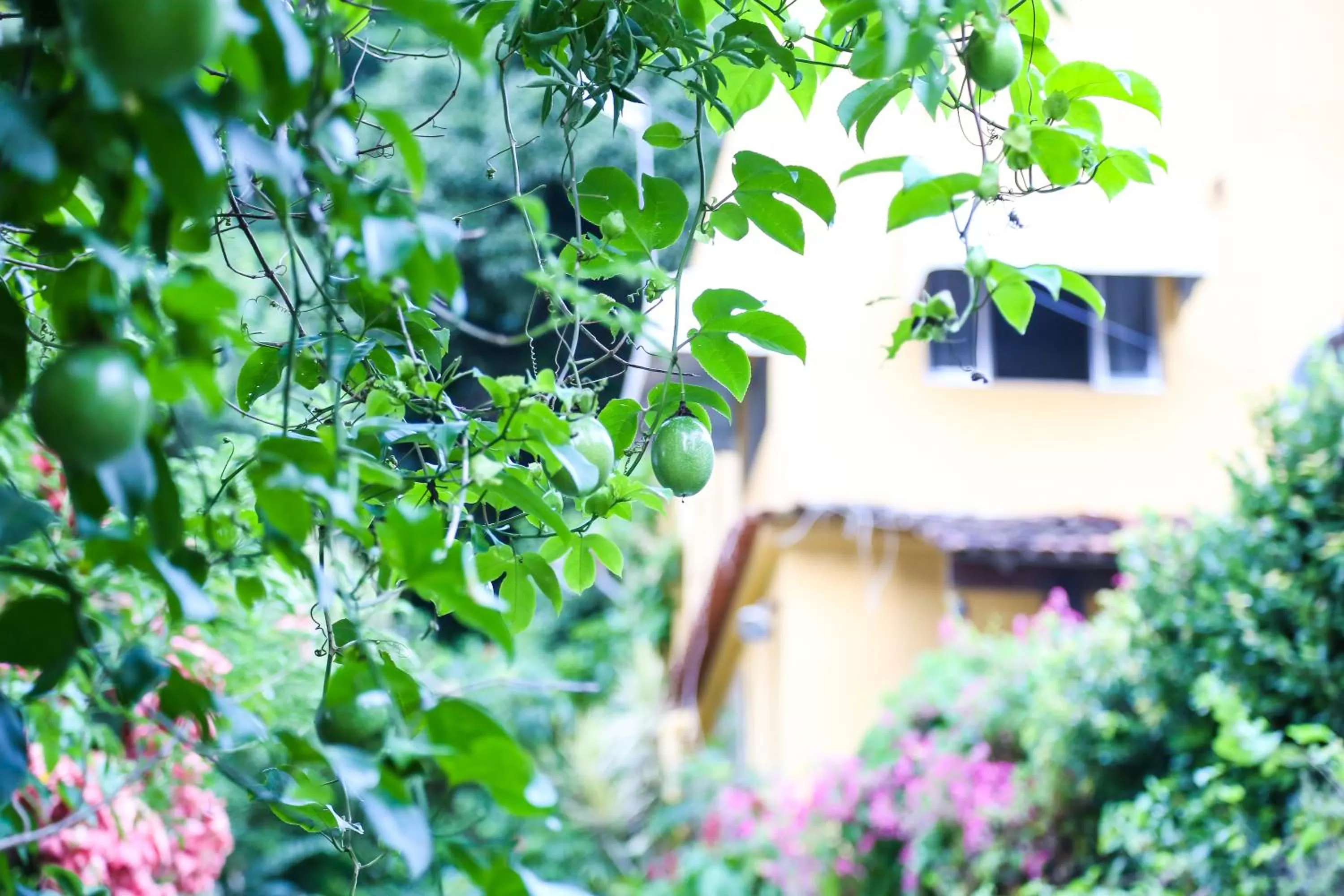 Property Building in A Casa Morro do Moreno
