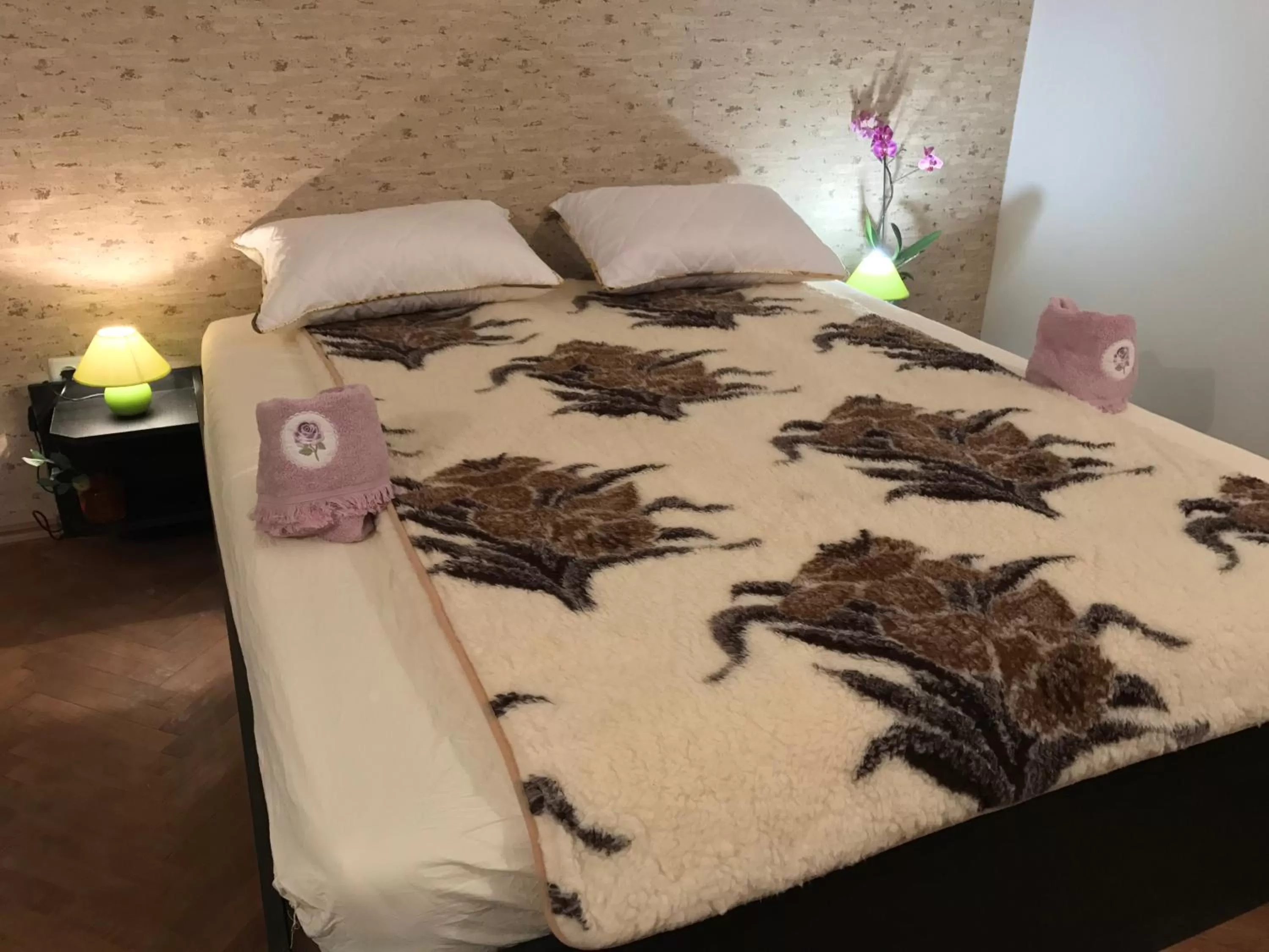 Photo of the whole room in Belle Stelle Sofia