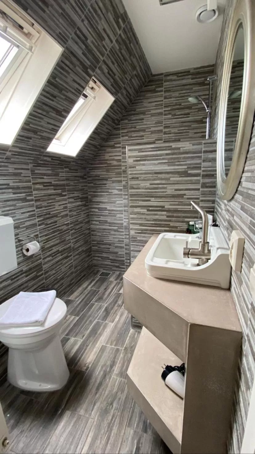 Deluxe Double Room in Hotel Buren