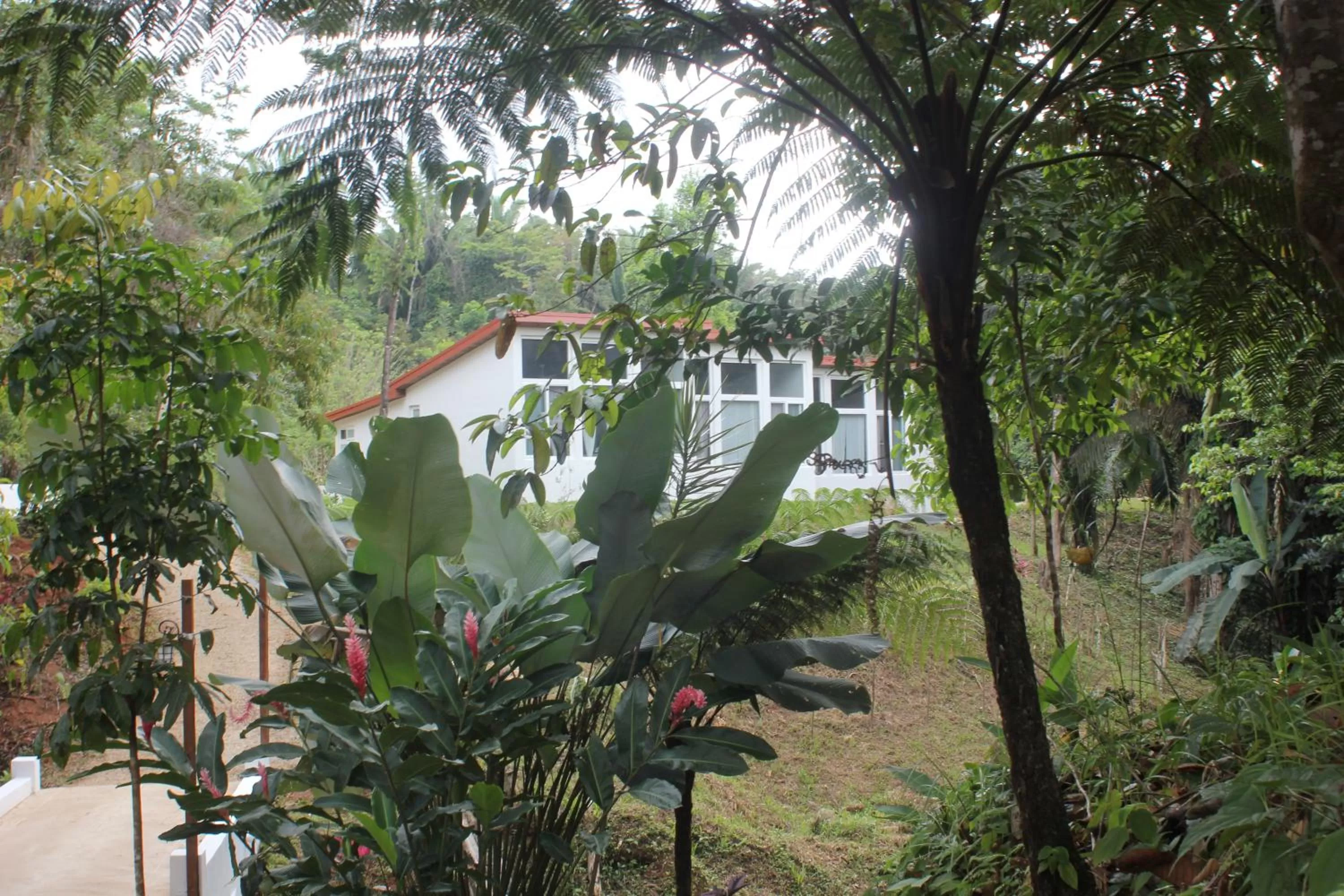 Garden, Property Building in Sattva Land