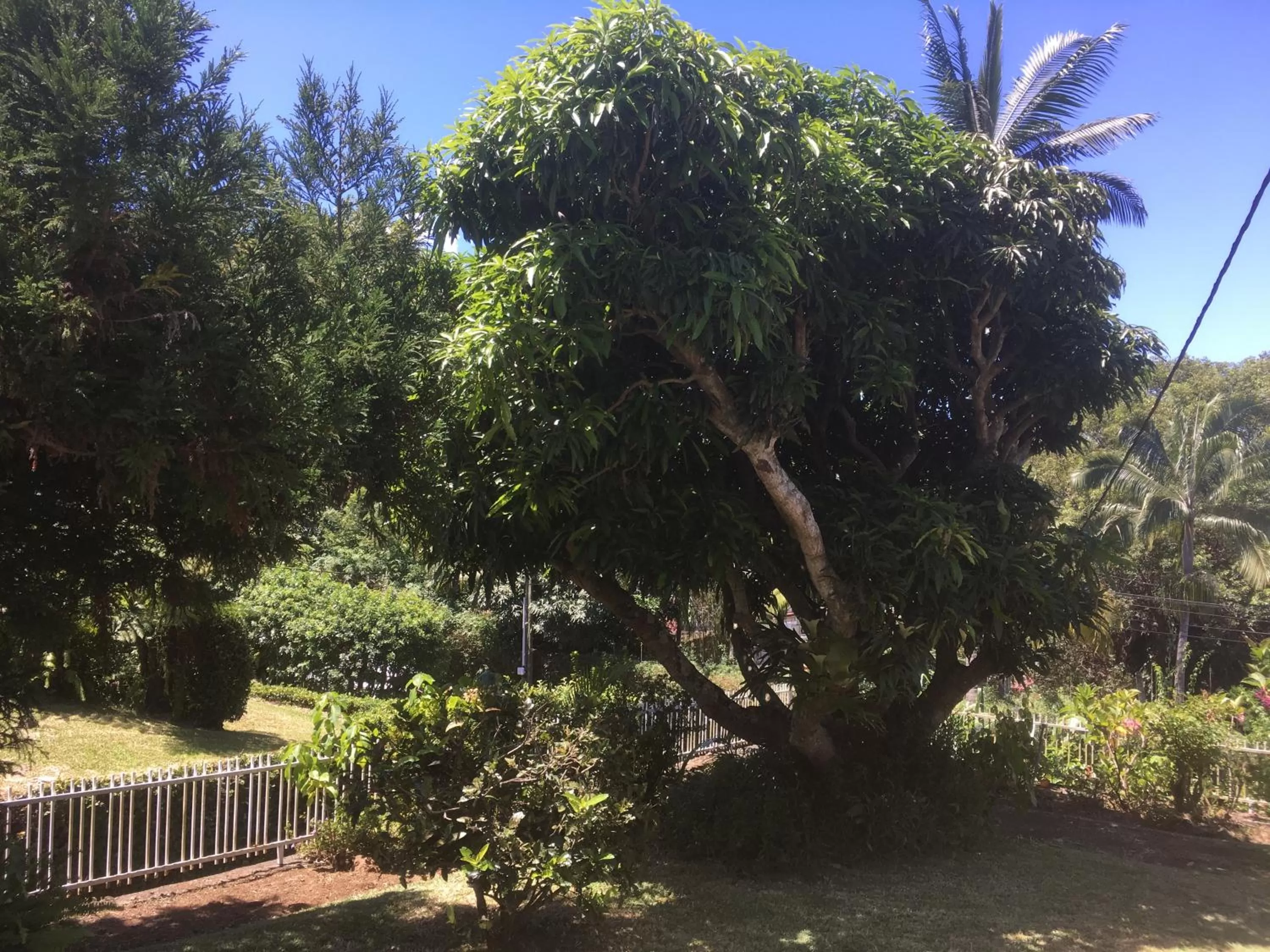 Garden in Caloupilé