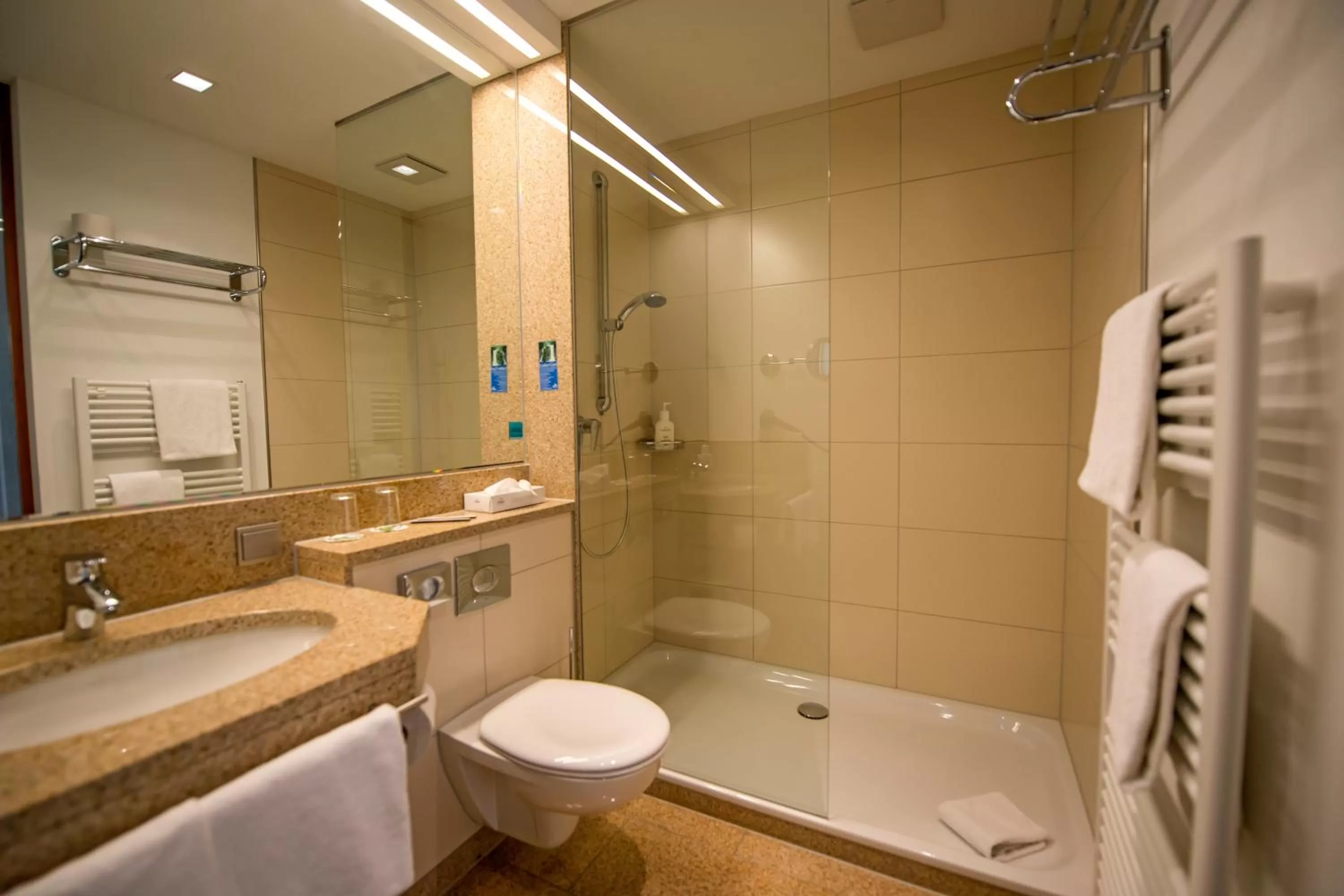 Photo of the whole room in Landidyll Hotel zum Freden