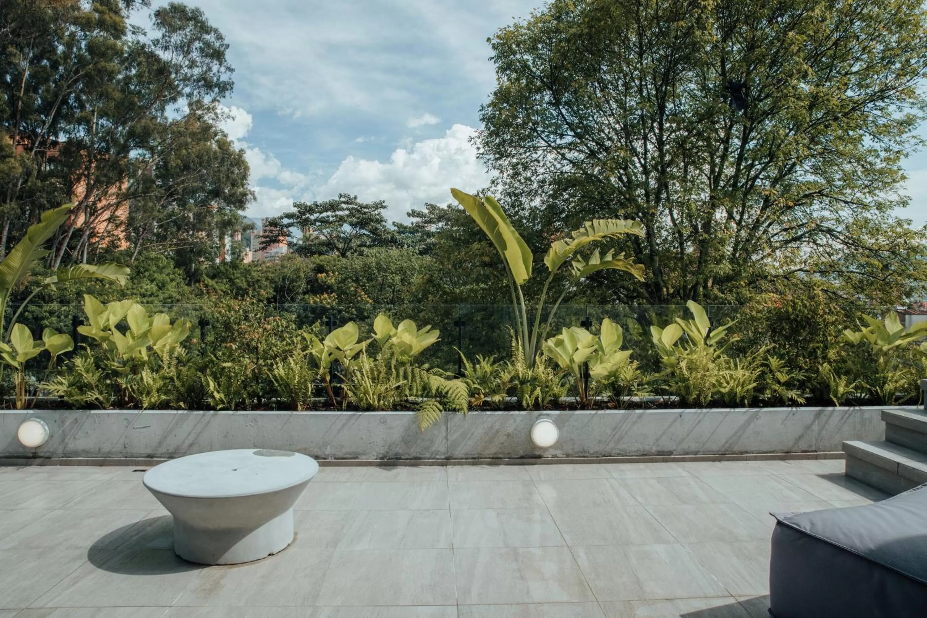 Garden in Wake Living