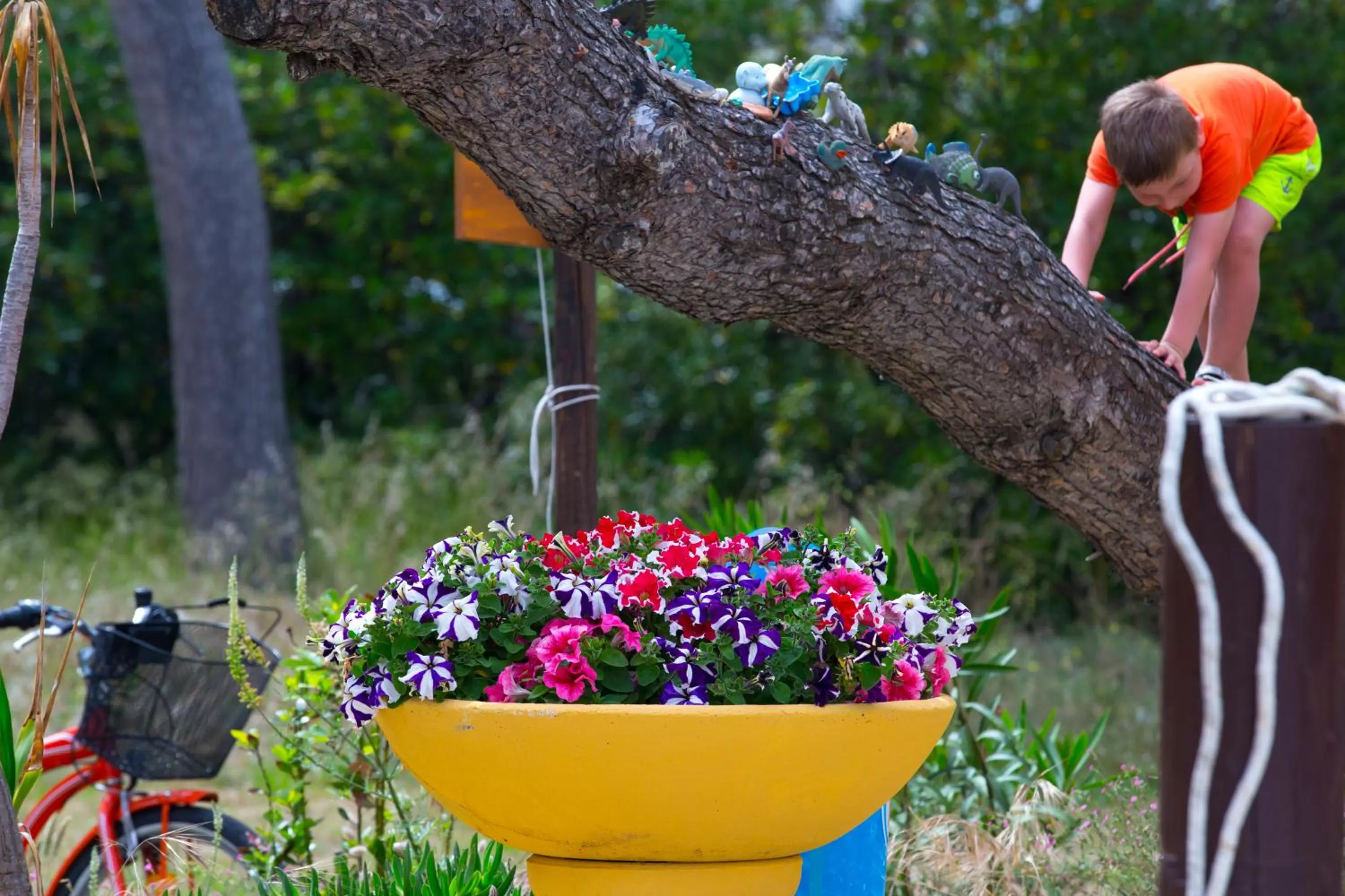 Beach in Hotel Cerrano