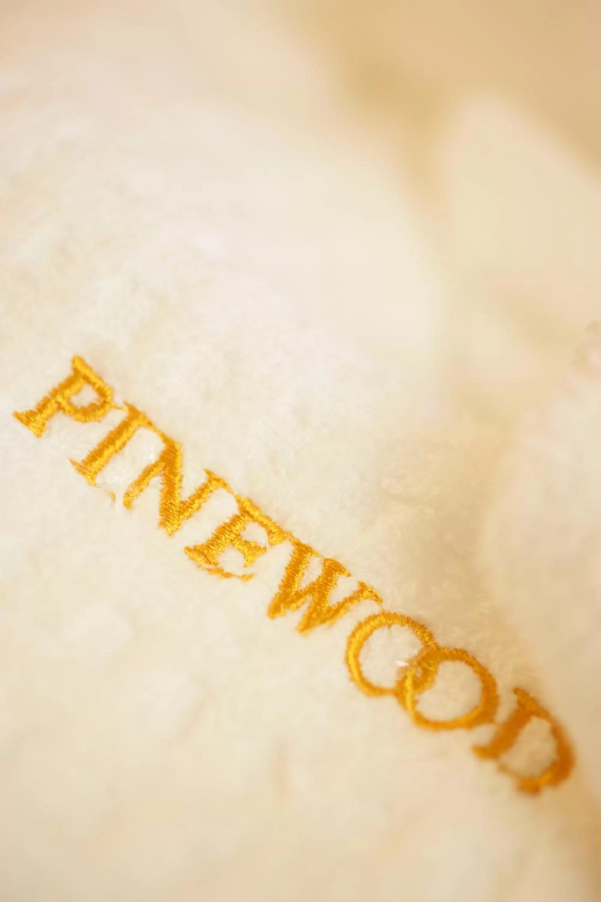 Other in The Pinewood Hotel