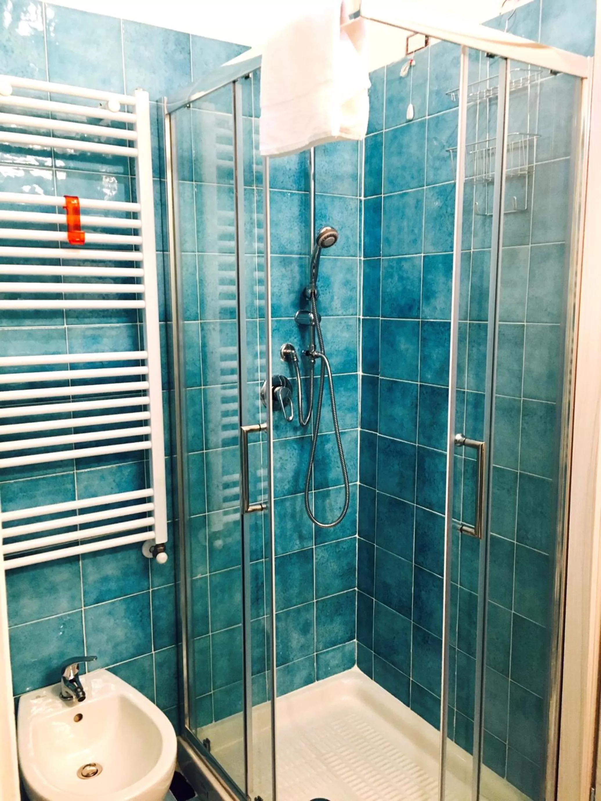 Shower in B&B Arte e Musei