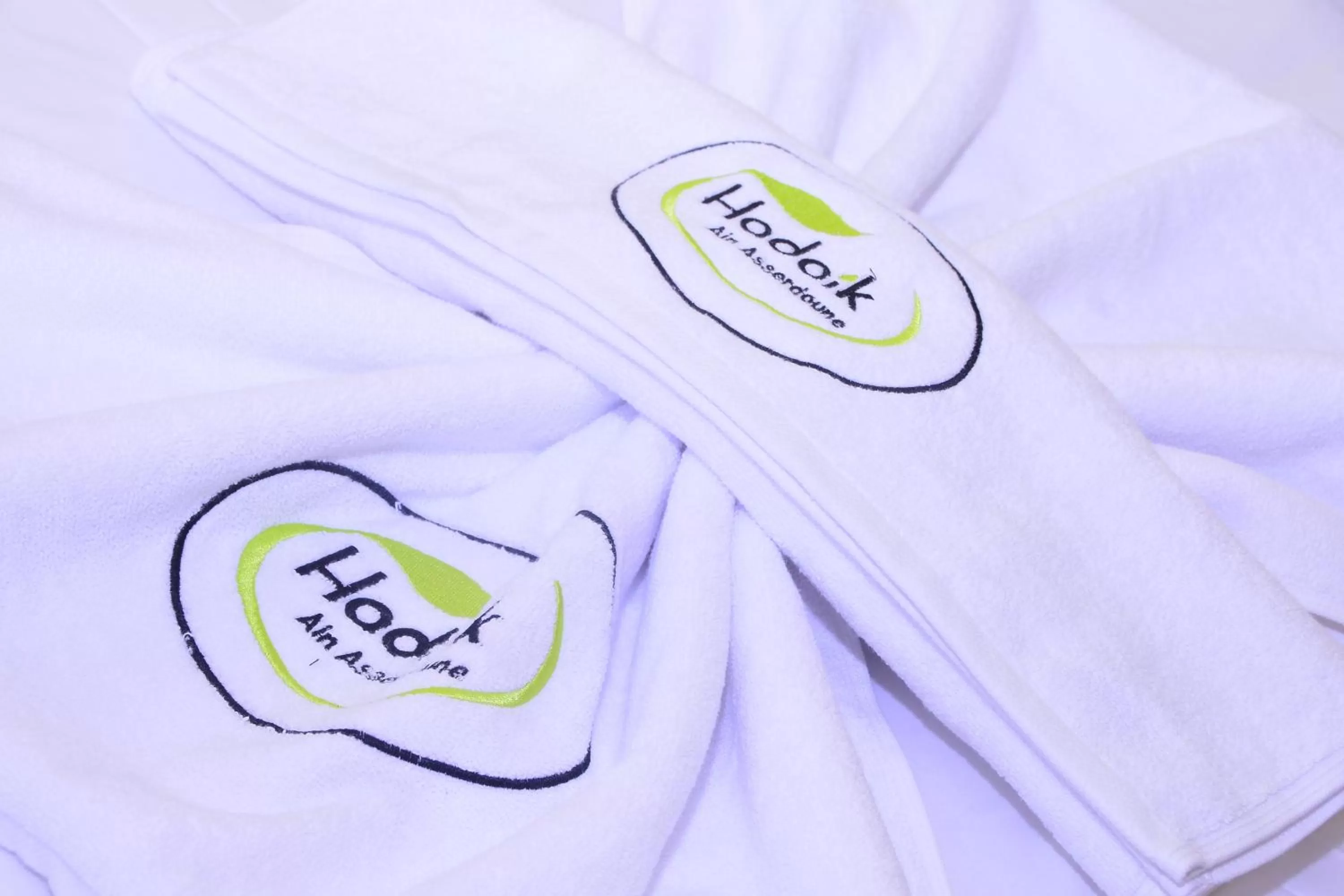 Property Logo/Sign in Hôtel Hadaik Ain Asserdoune