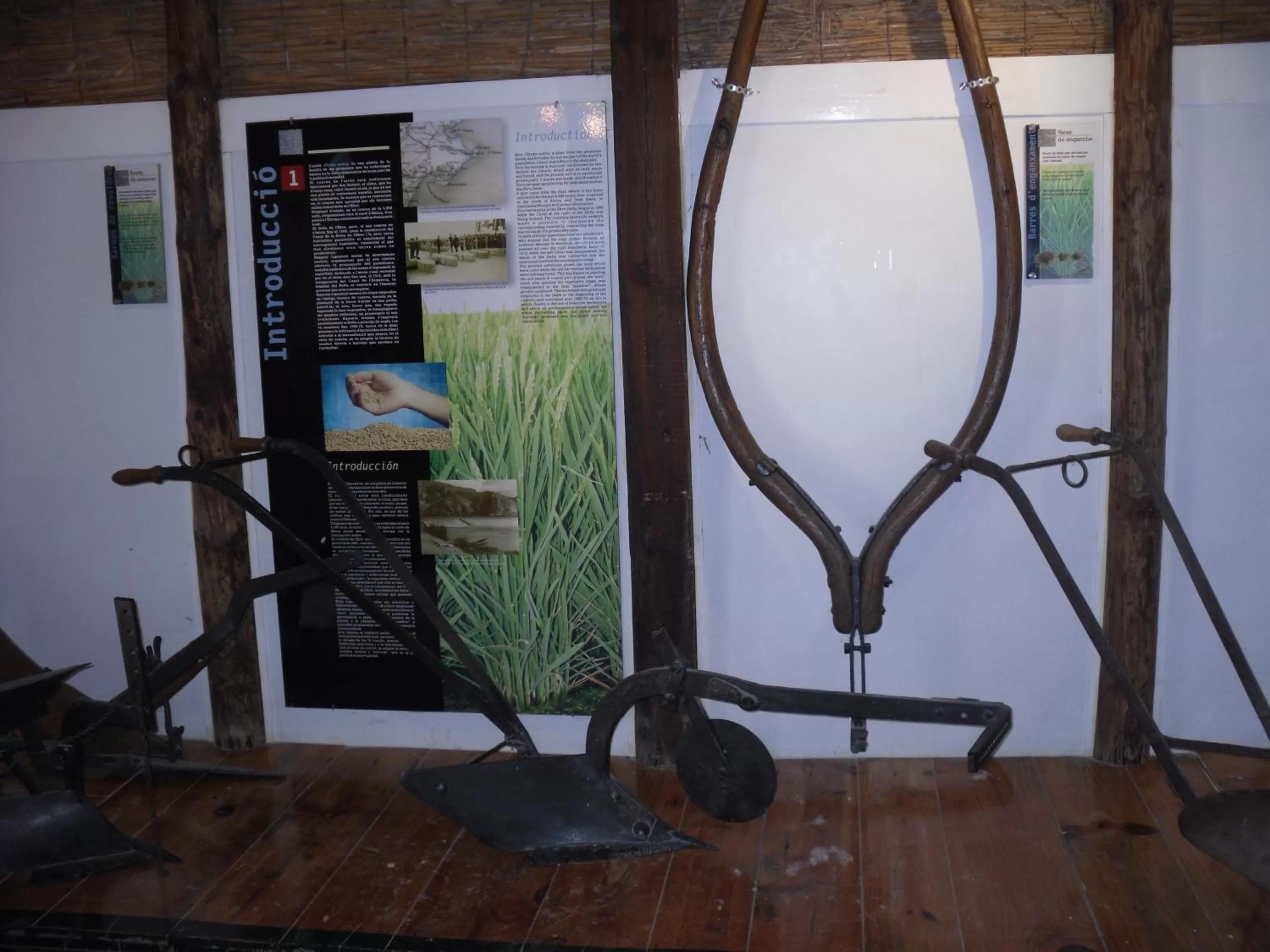 Area and facilities in Hotel Can Batiste