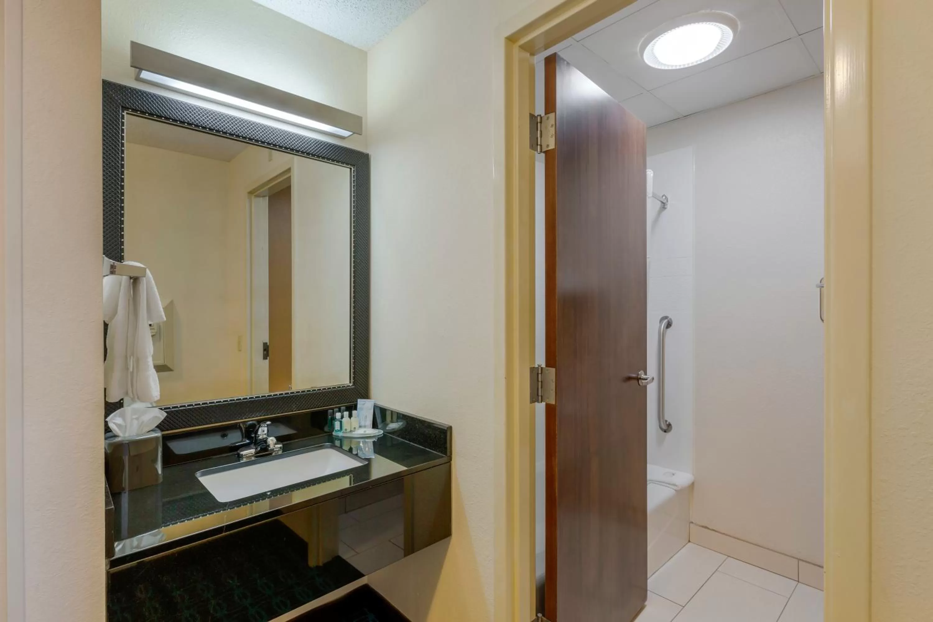 Bathroom in Quality Inn & Suites Sandusky