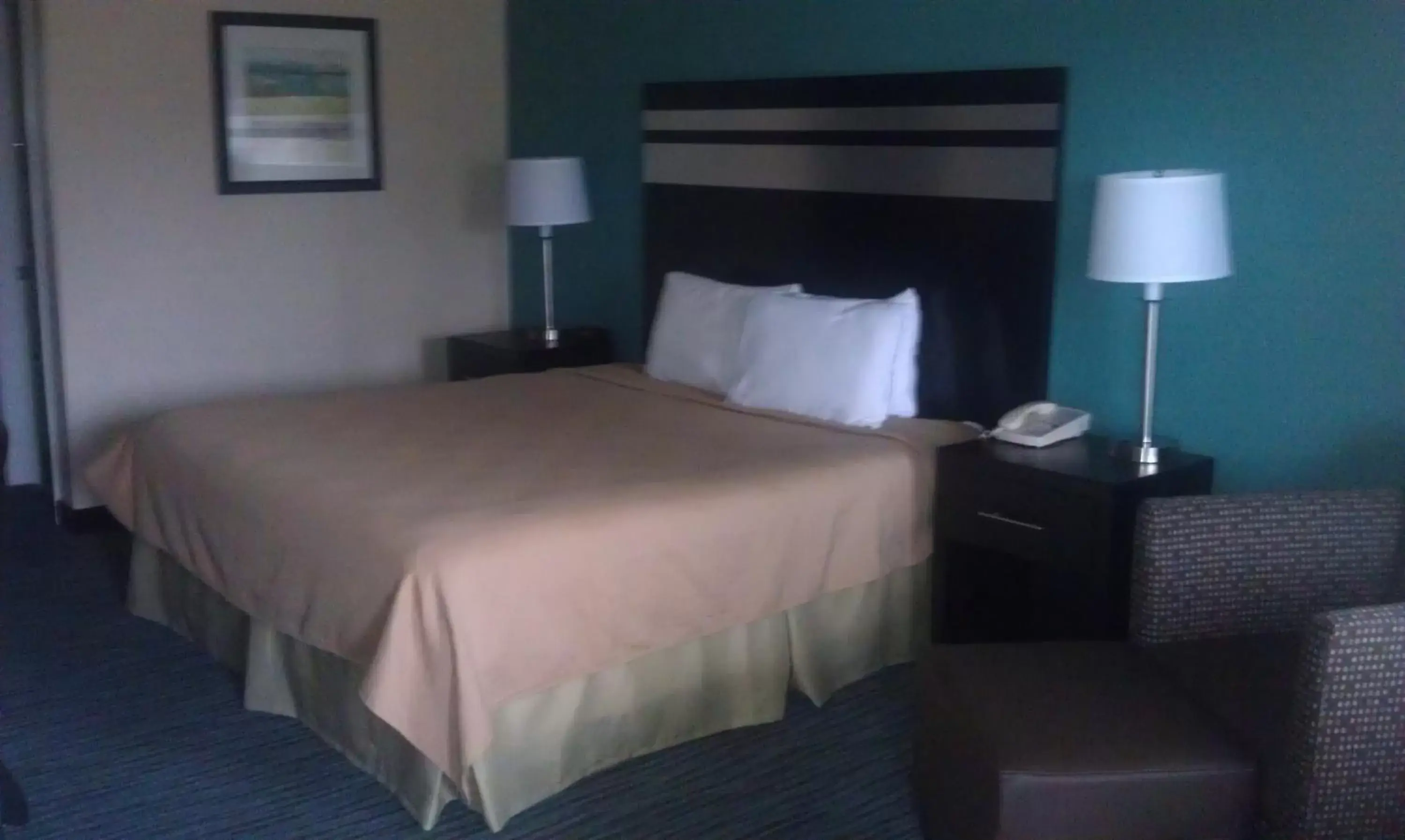 King Room with Sofa Bed - Non-Smoking in GuestHouse Inn Dothan King Room with Sofa Bed - Non-Smoking in GuestHouse Inn Dothan