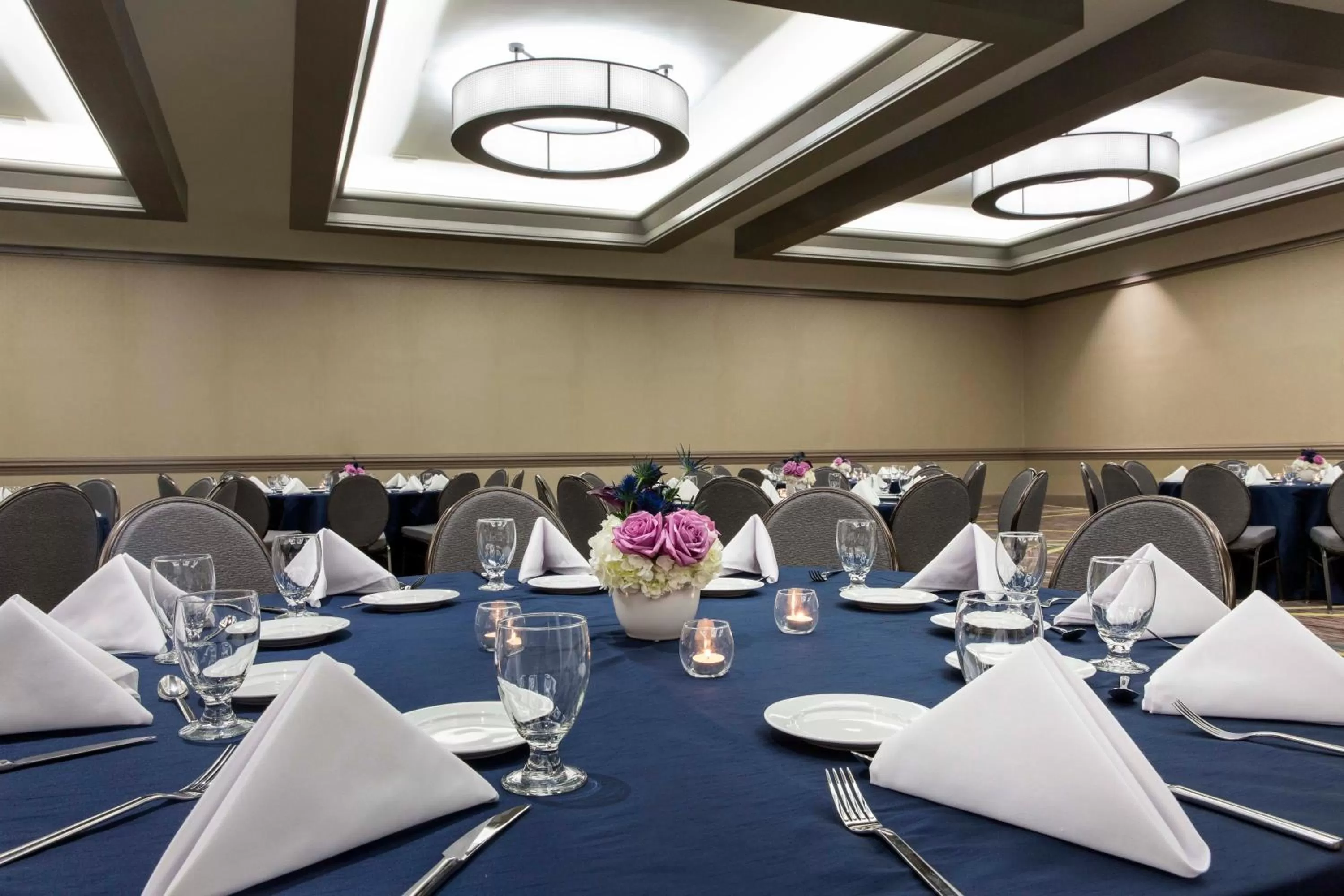 Banquet/Function facilities in Crowne Plaza Atlanta - Midtown by IHG