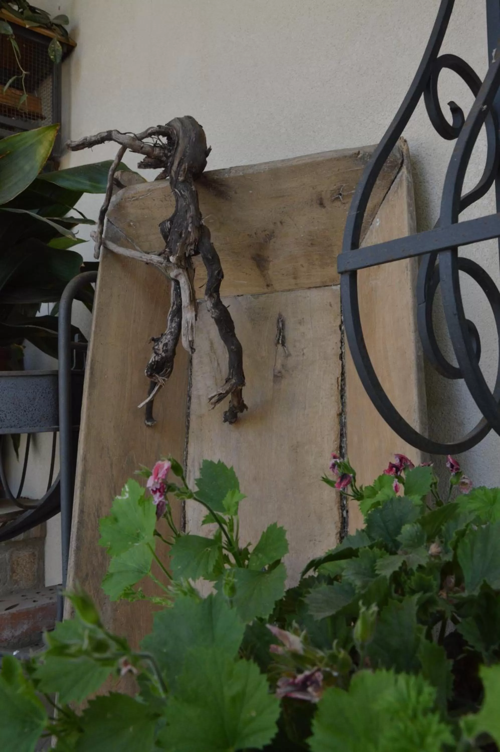 Property building in B&B La Roverella