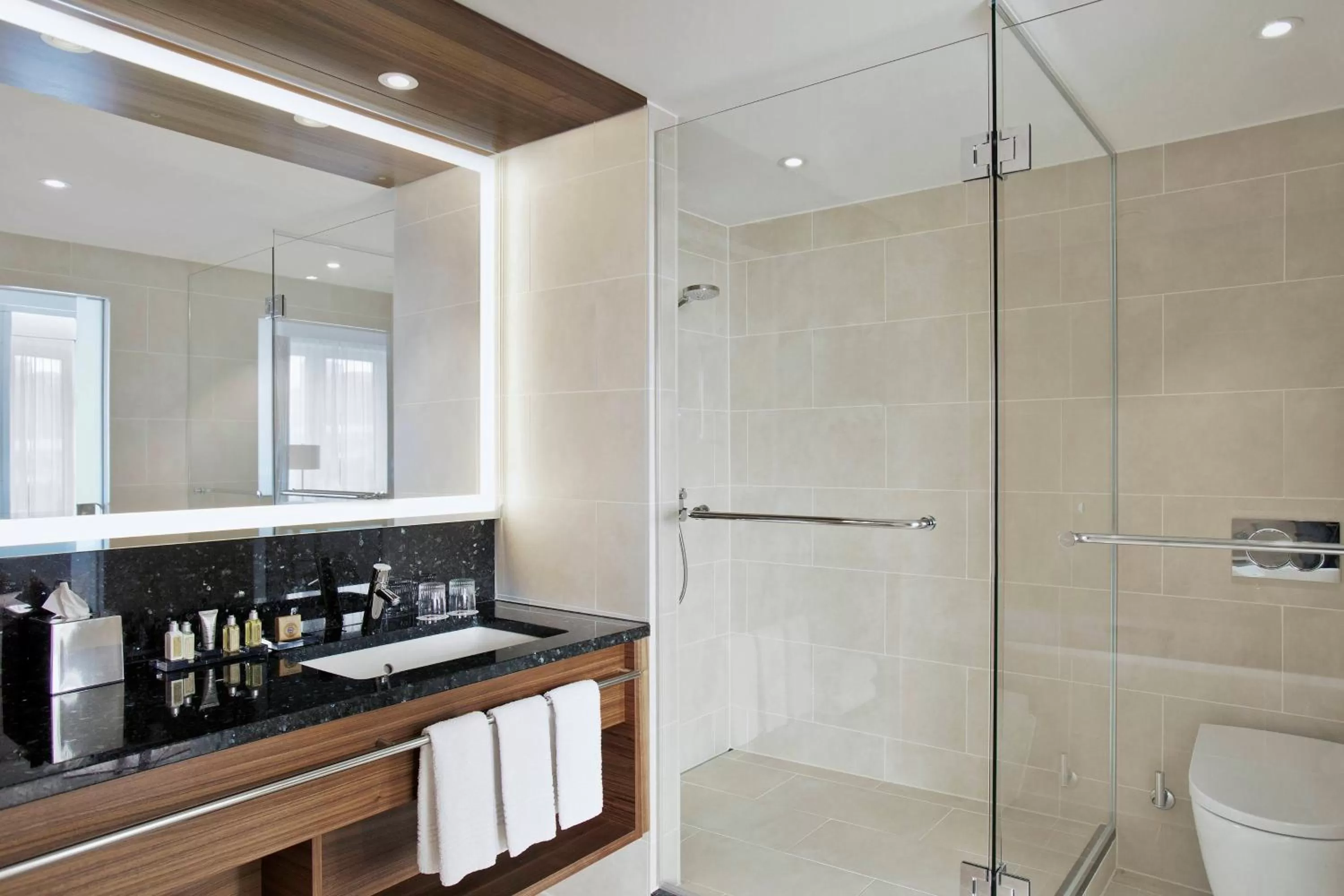 Bathroom in Vienna Marriott Hotel