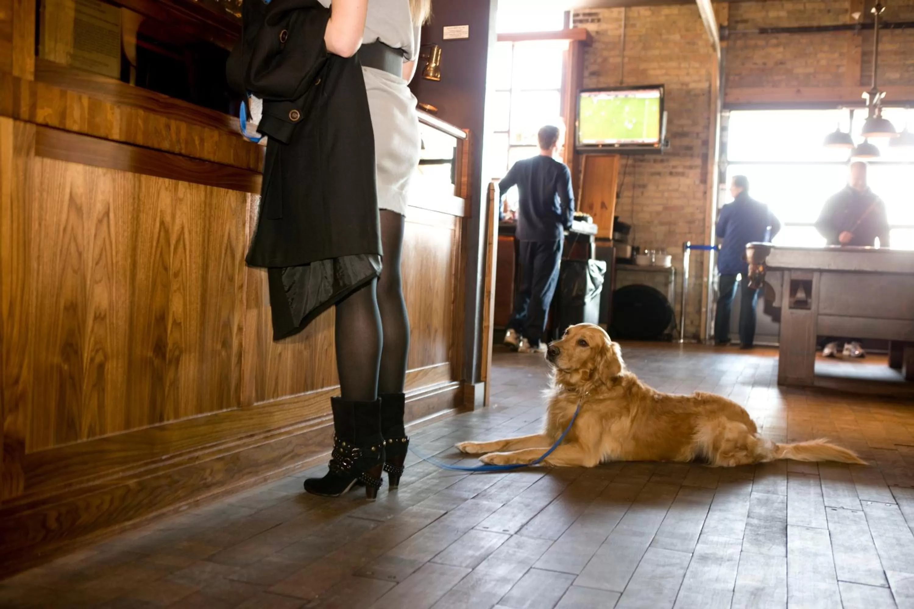 Lobby or reception in The Iron Horse Hotel