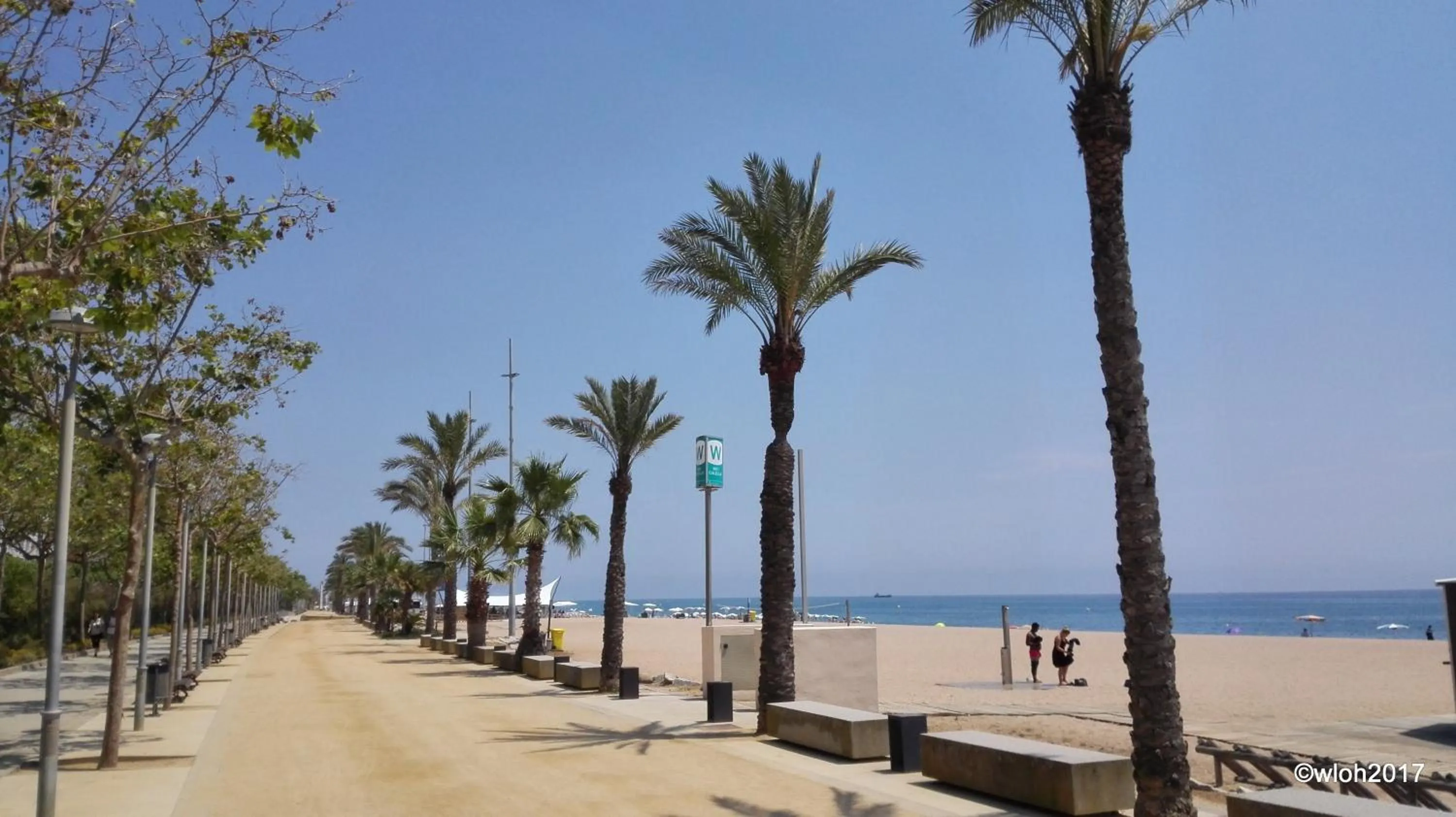 Beach in Hotel Oasis Park Splash