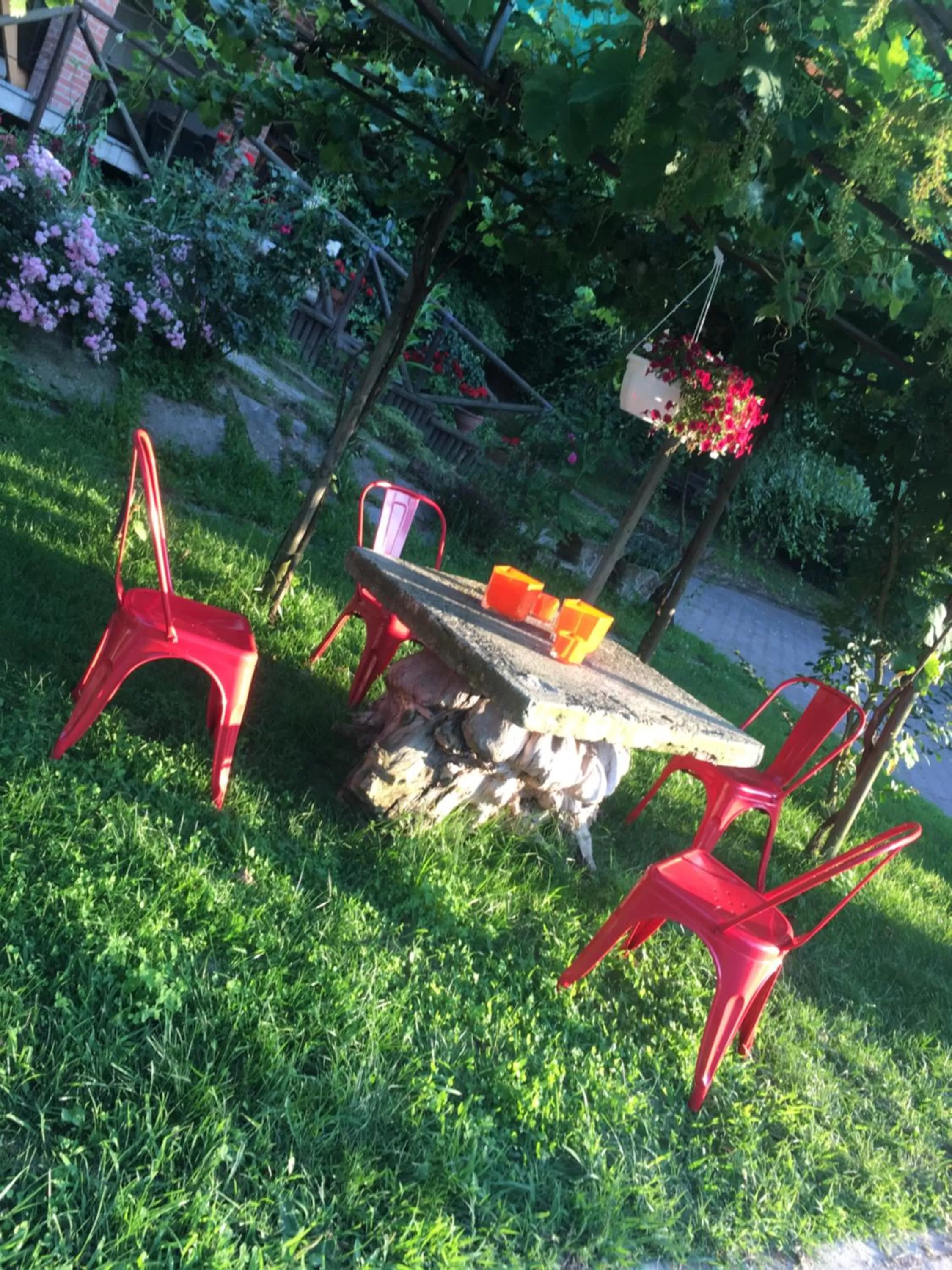 Rossella alla Villarella dei Tulipani