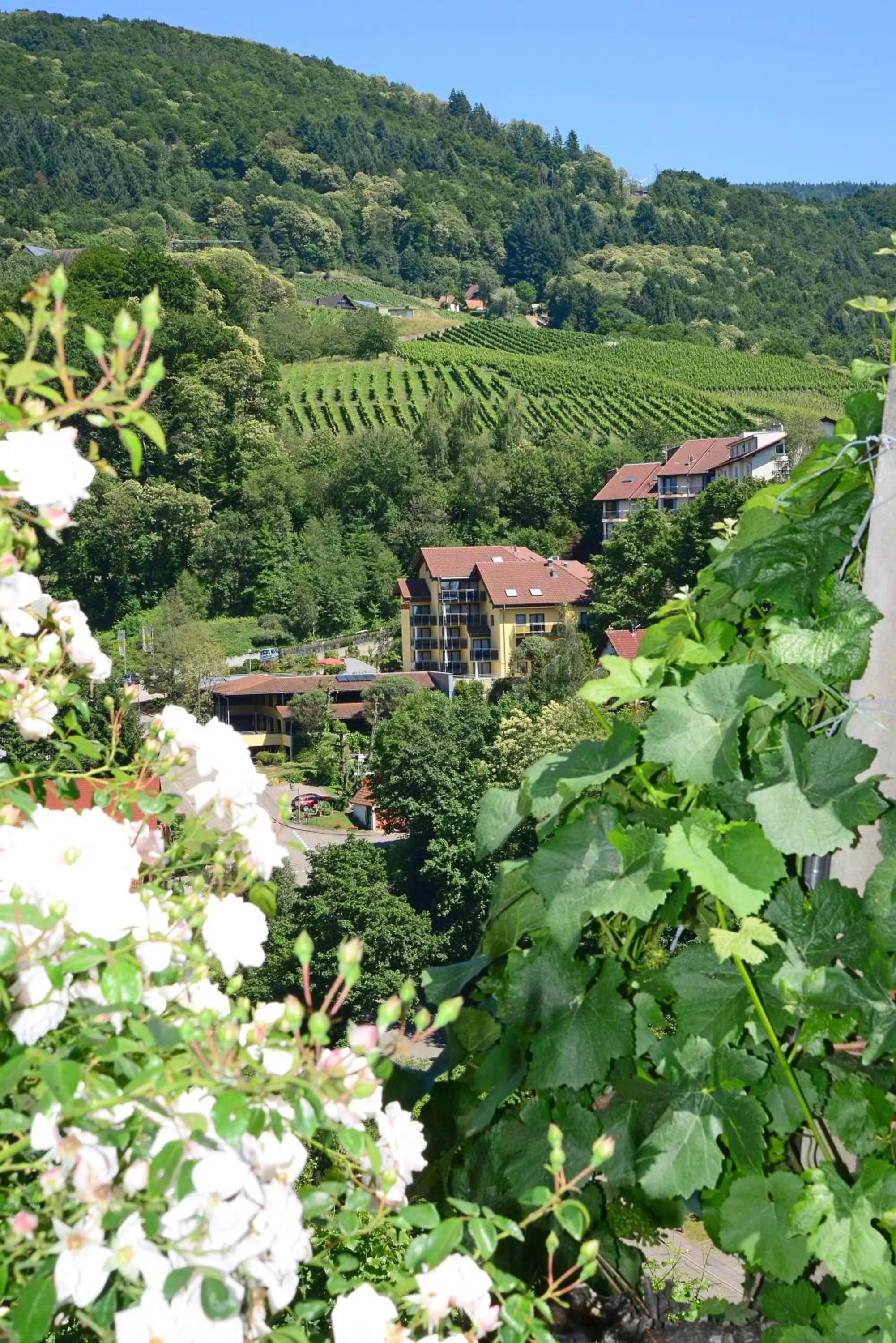 Neighbourhood in Residence am Weinberg / Travellers Hotelbetriebs GmbH