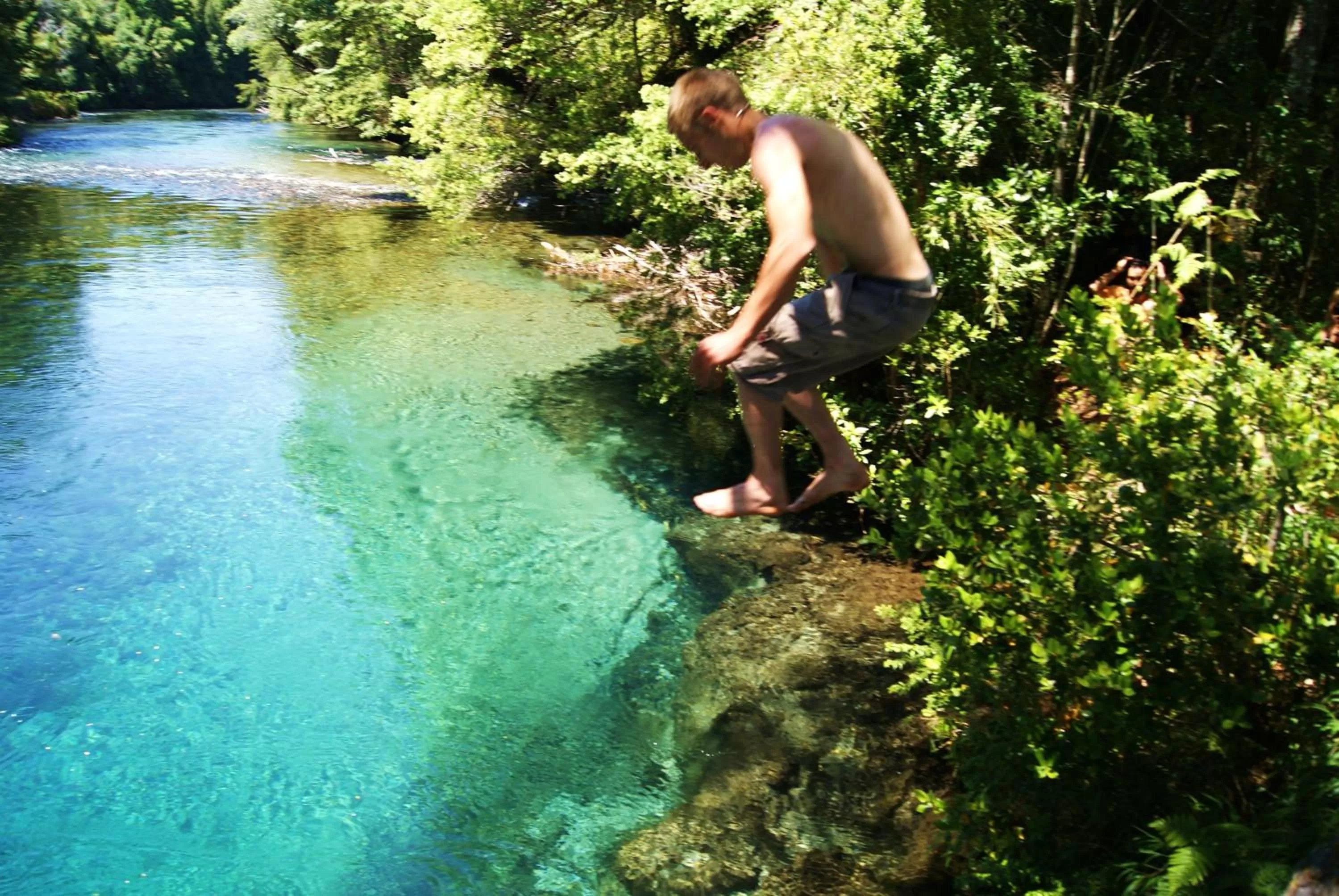 View (from property/room), Swimming Pool in Hotel Salto del Carileufu