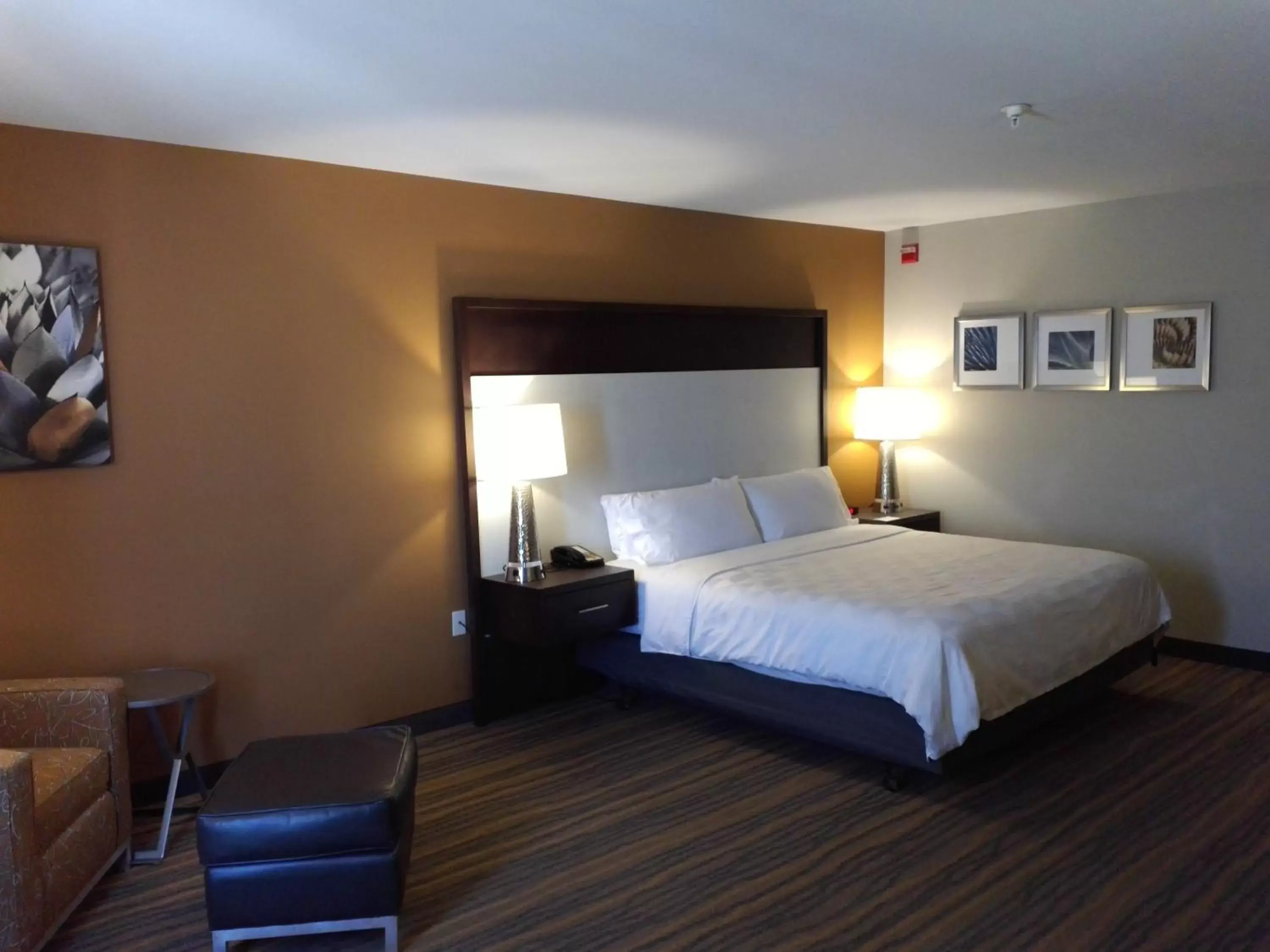 King Room with Roll-In Shower - Disability Access in Holiday Inn Hotel and Suites Albuquerque - North Interstate 25, an IHG Hotel King Room with Roll-In Shower - Disability Access in Holiday Inn Hotel and Suites Albuquerque - North Interstate 25, an IHG Hotel