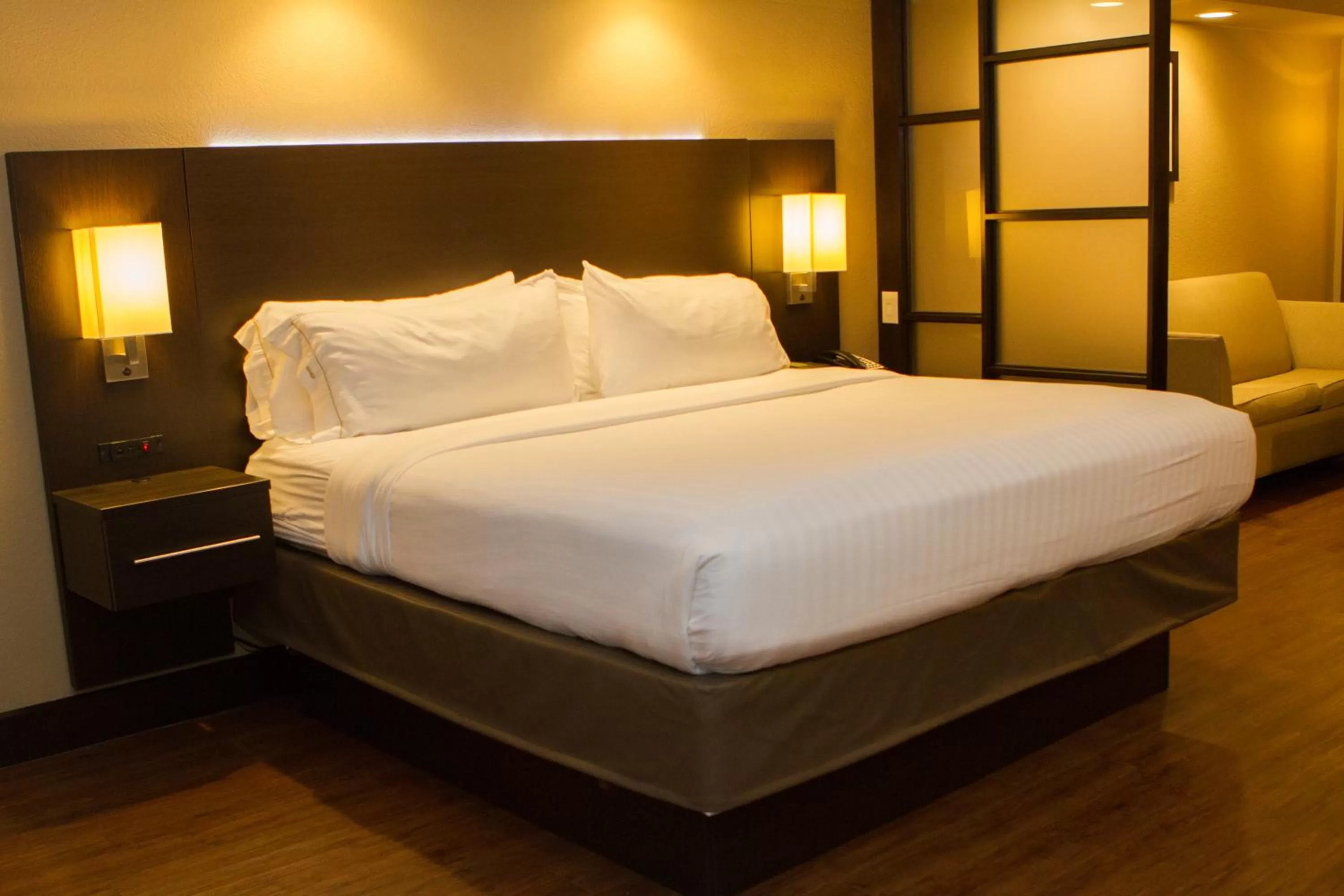 Holiday Inn Express & Suites San Antonio Medical - Six Flags by IHG