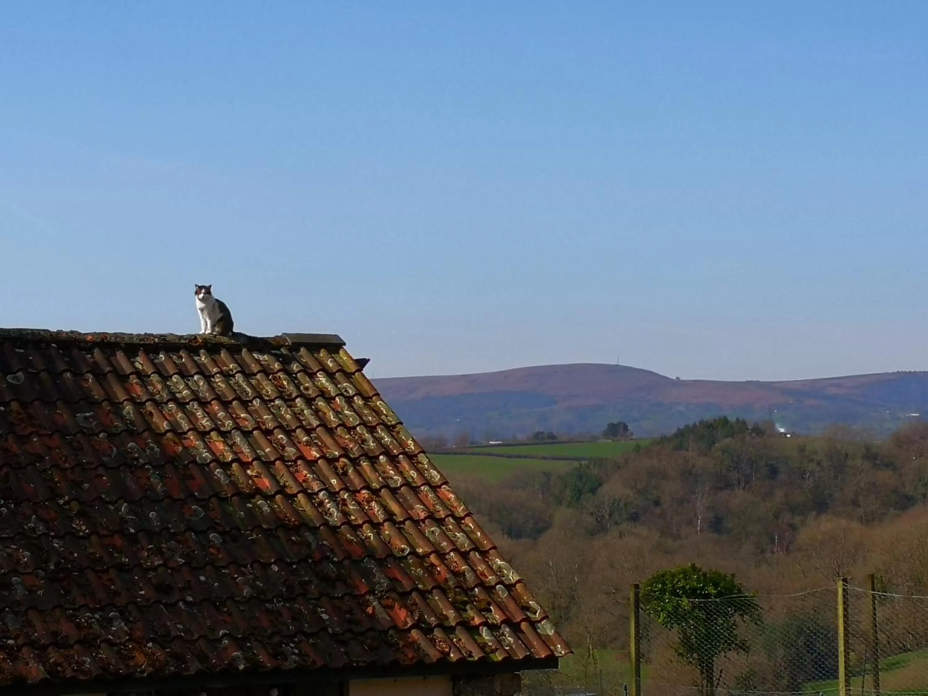 Mountain View in Walnut Tree Farm