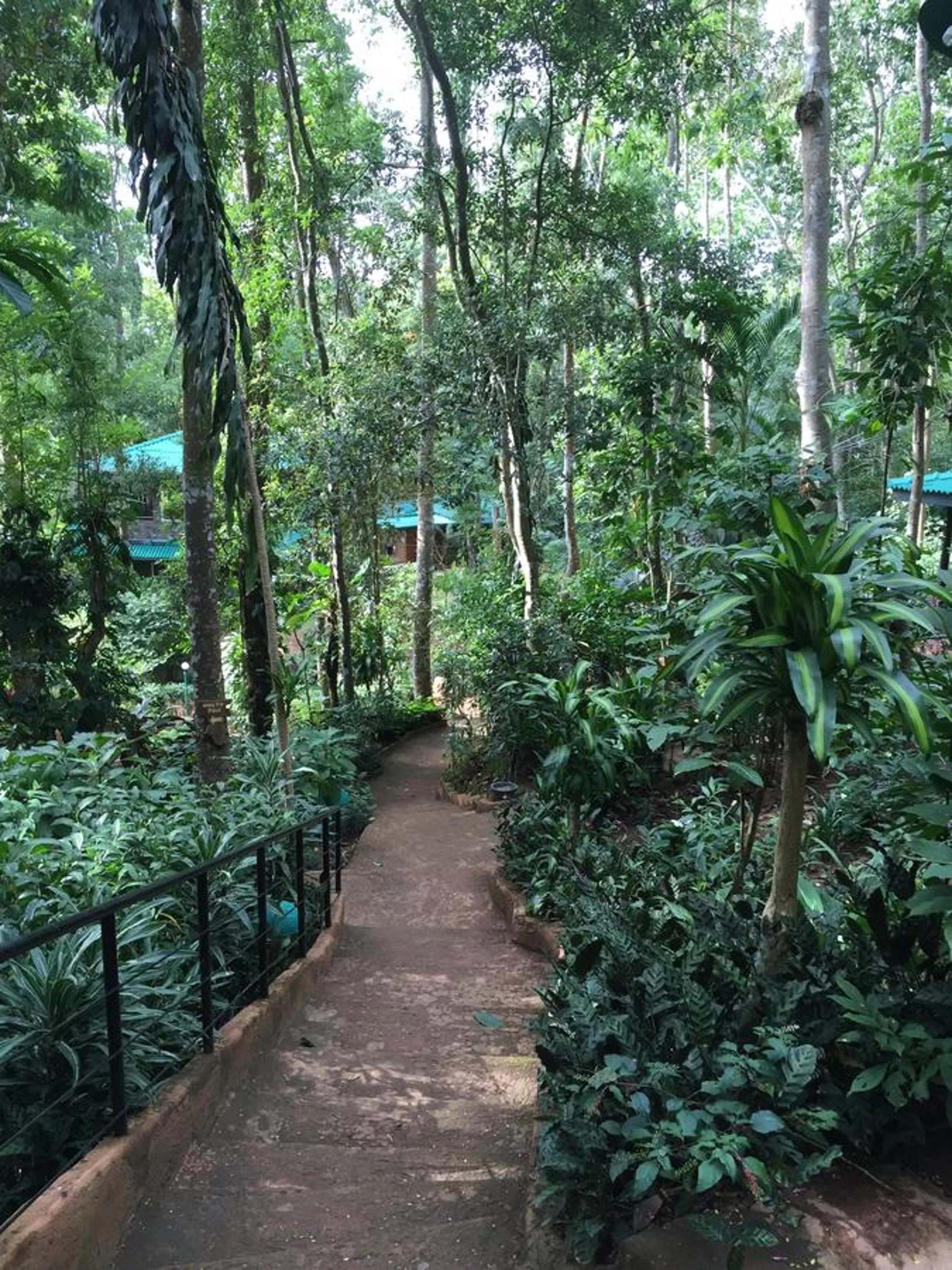 Property building, Garden in Le leopard d 'argent