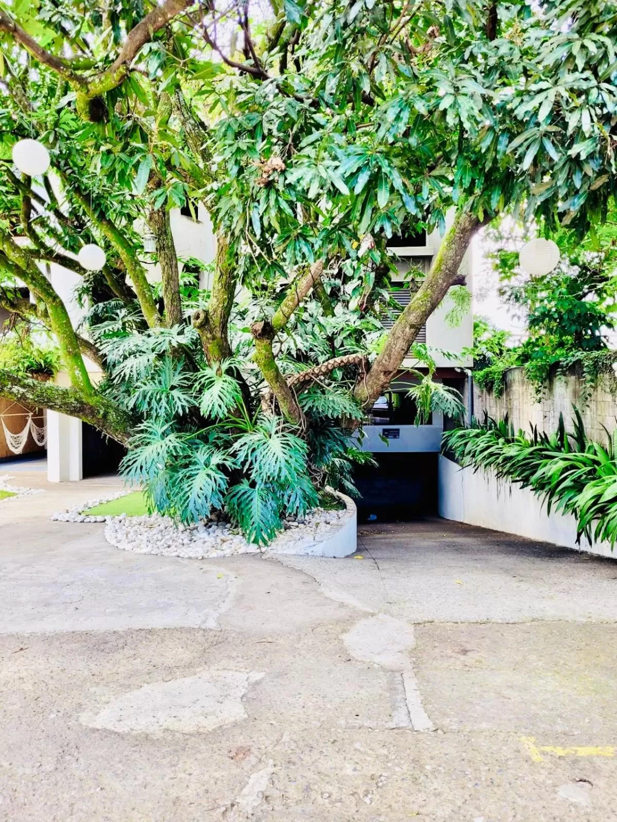 Garden in Hotel Mango Airport