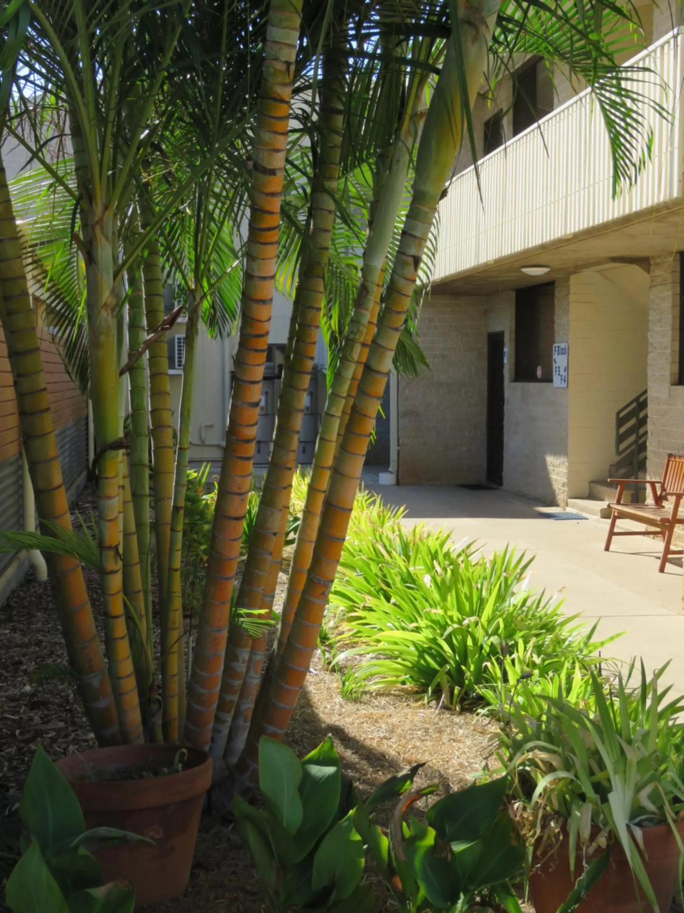 Property Building in Emerald Gardens Motel & Apartments