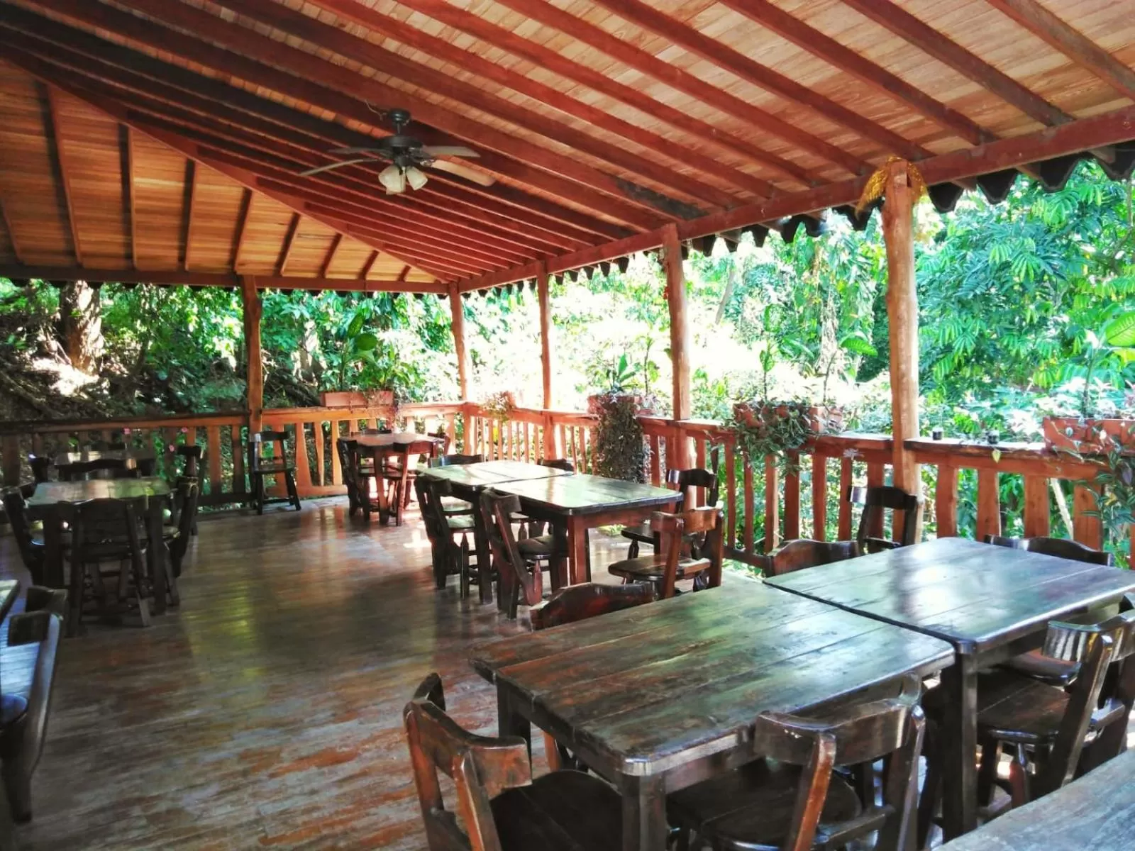 Restaurant/Places to Eat in Hotel Miami Beach