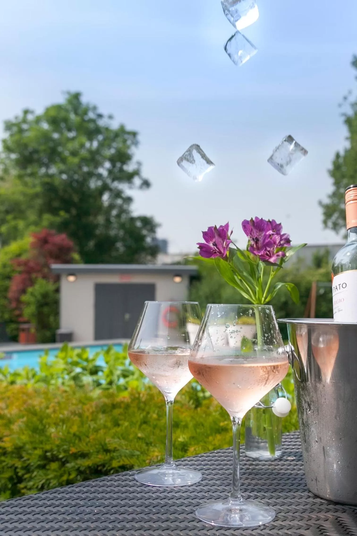 Drinks in Novotel Rotterdam - Schiedam