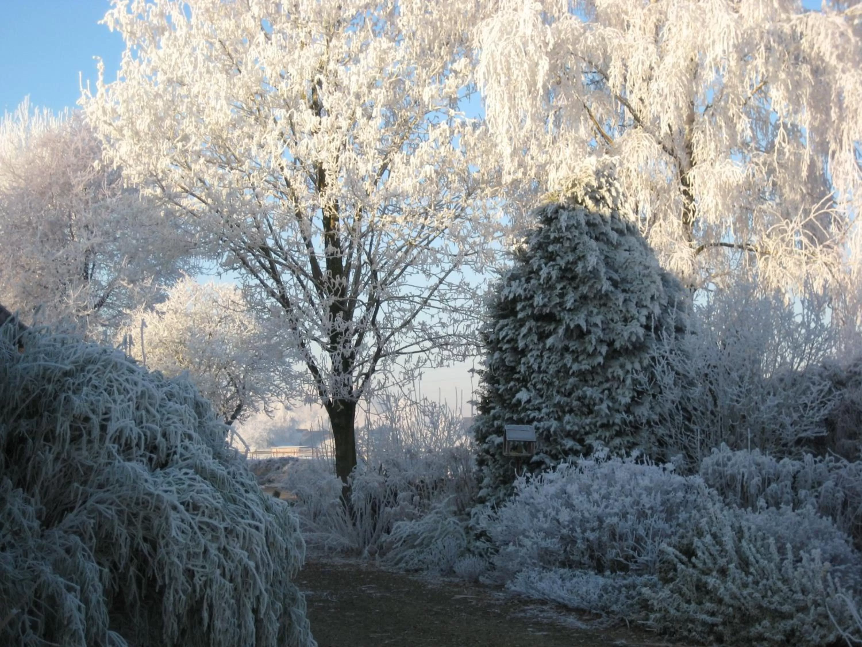 Other, Winter in B&B Het Uilennest