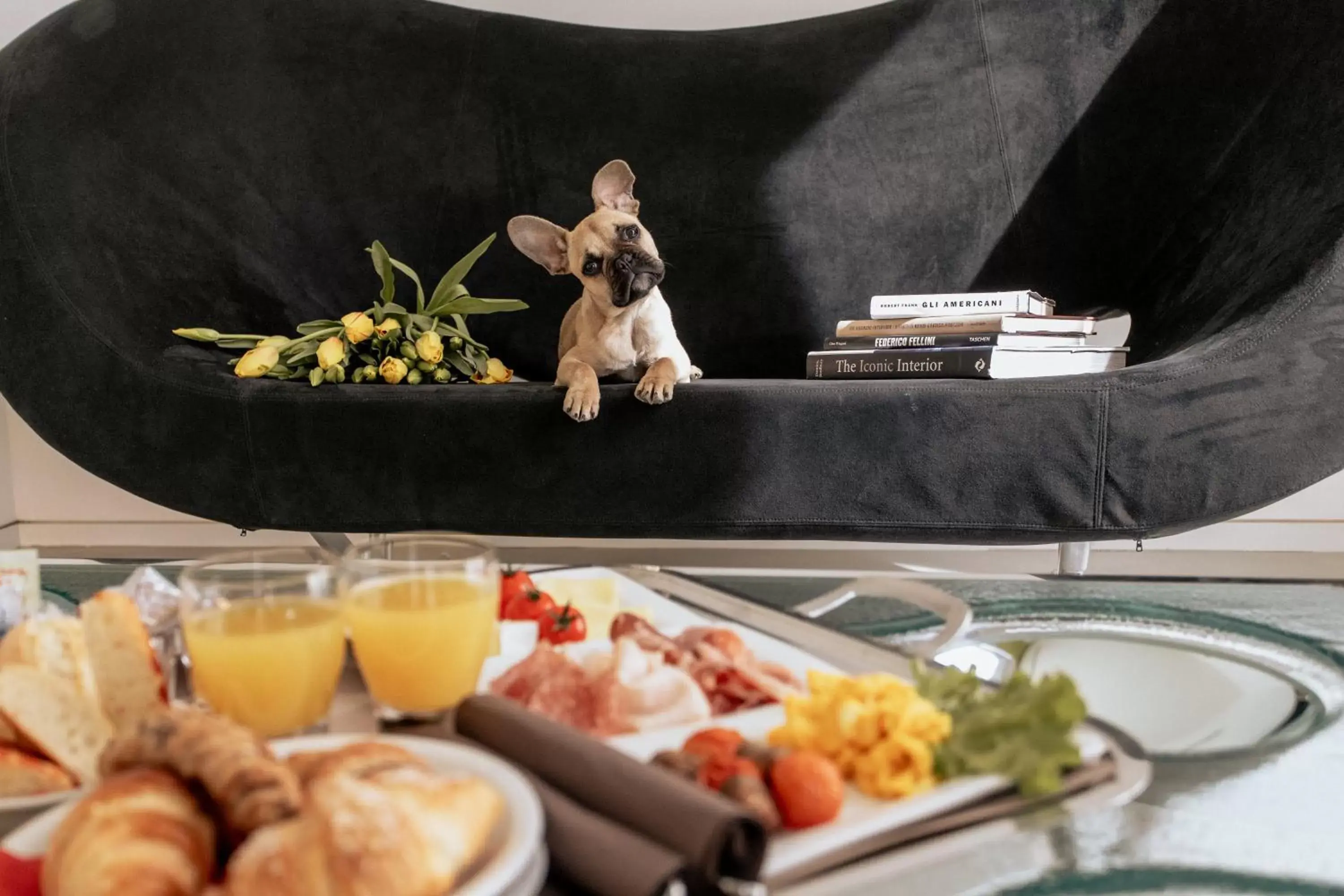 Food and drinks in DuoMo Hotel Food and drinks in DuoMo Hotel