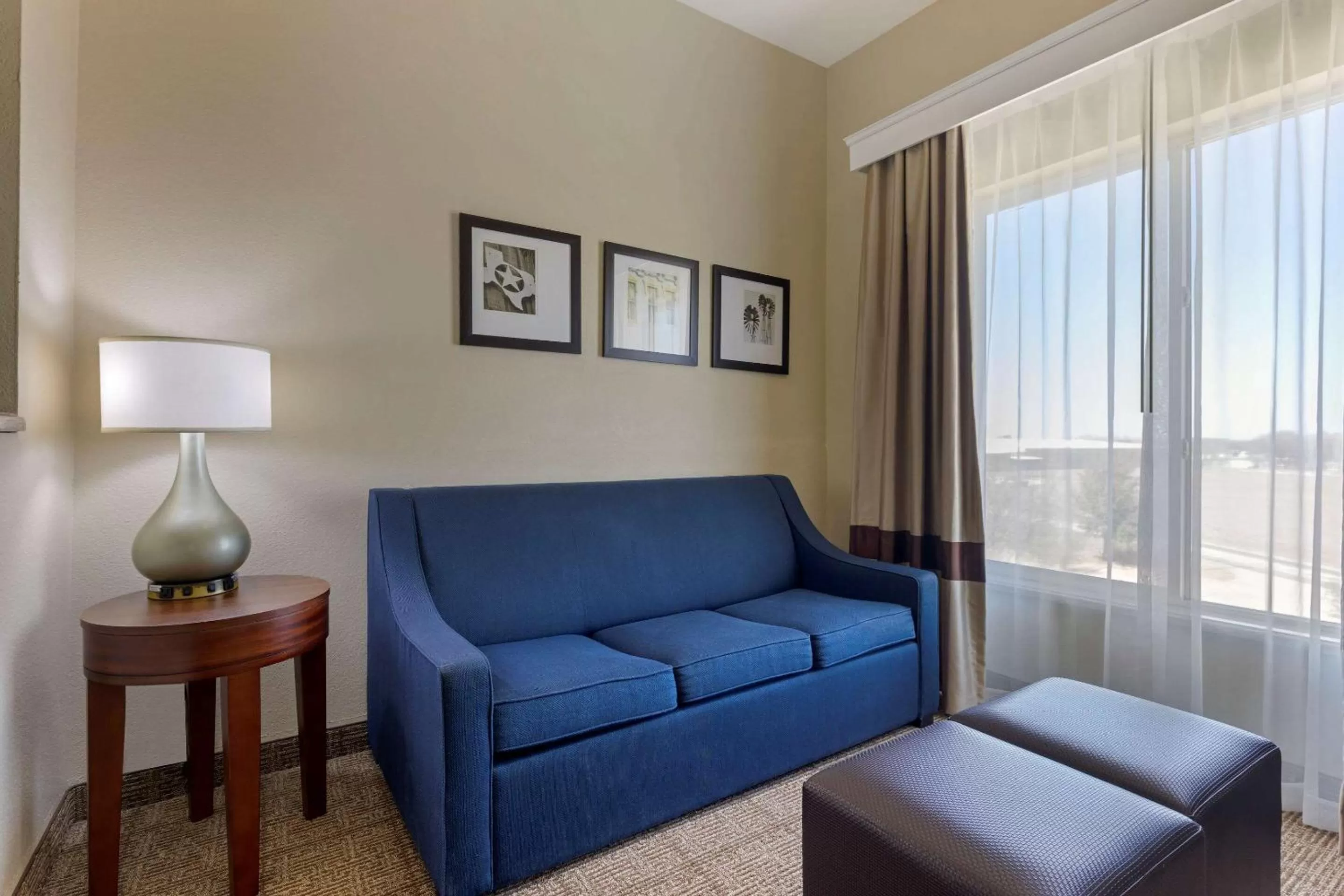 Photo of the whole room in Comfort Suites Gainesville